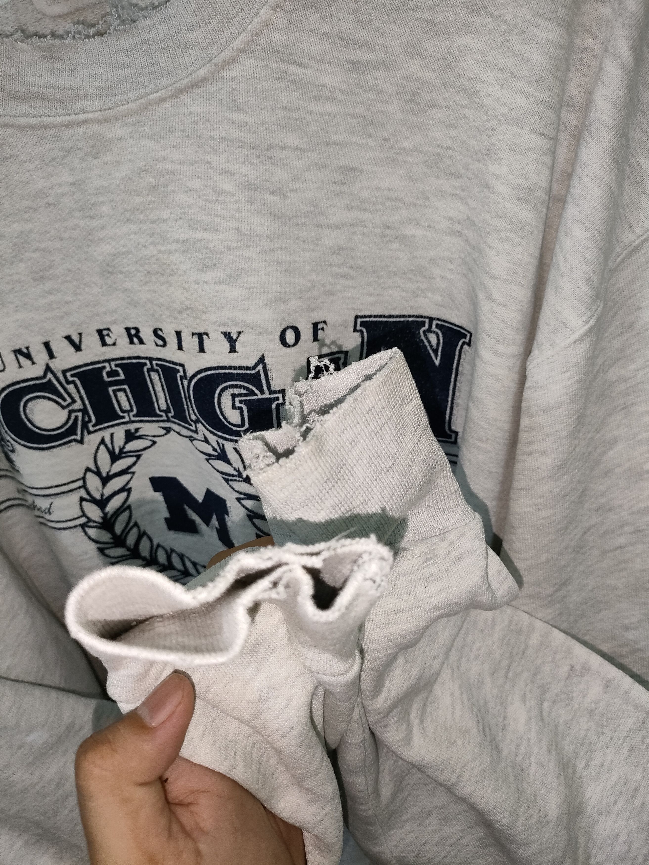 Vintage Vintage Distressed Sweetshirts university Michigan Size US L / EU 52-54 / 3 - 5 Thumbnail