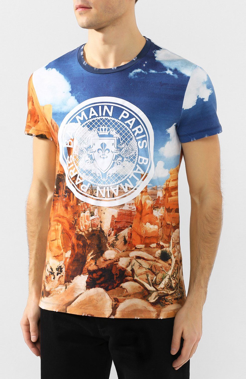 image of Balmain Grand Canyon Print Logo T-Shirt NWT Small in Blue, Men's