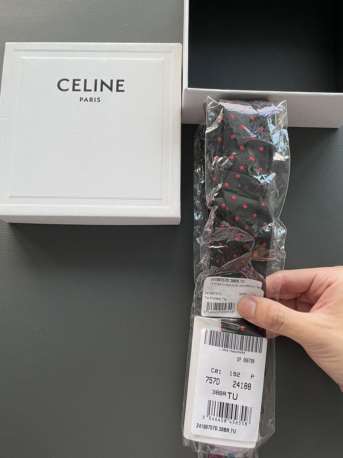 Celine × Hedi Slimane Rare Limited Edition Celine by Hedi Slimane Runway Silk Tie Size ONE SIZE - 6 Thumbnail