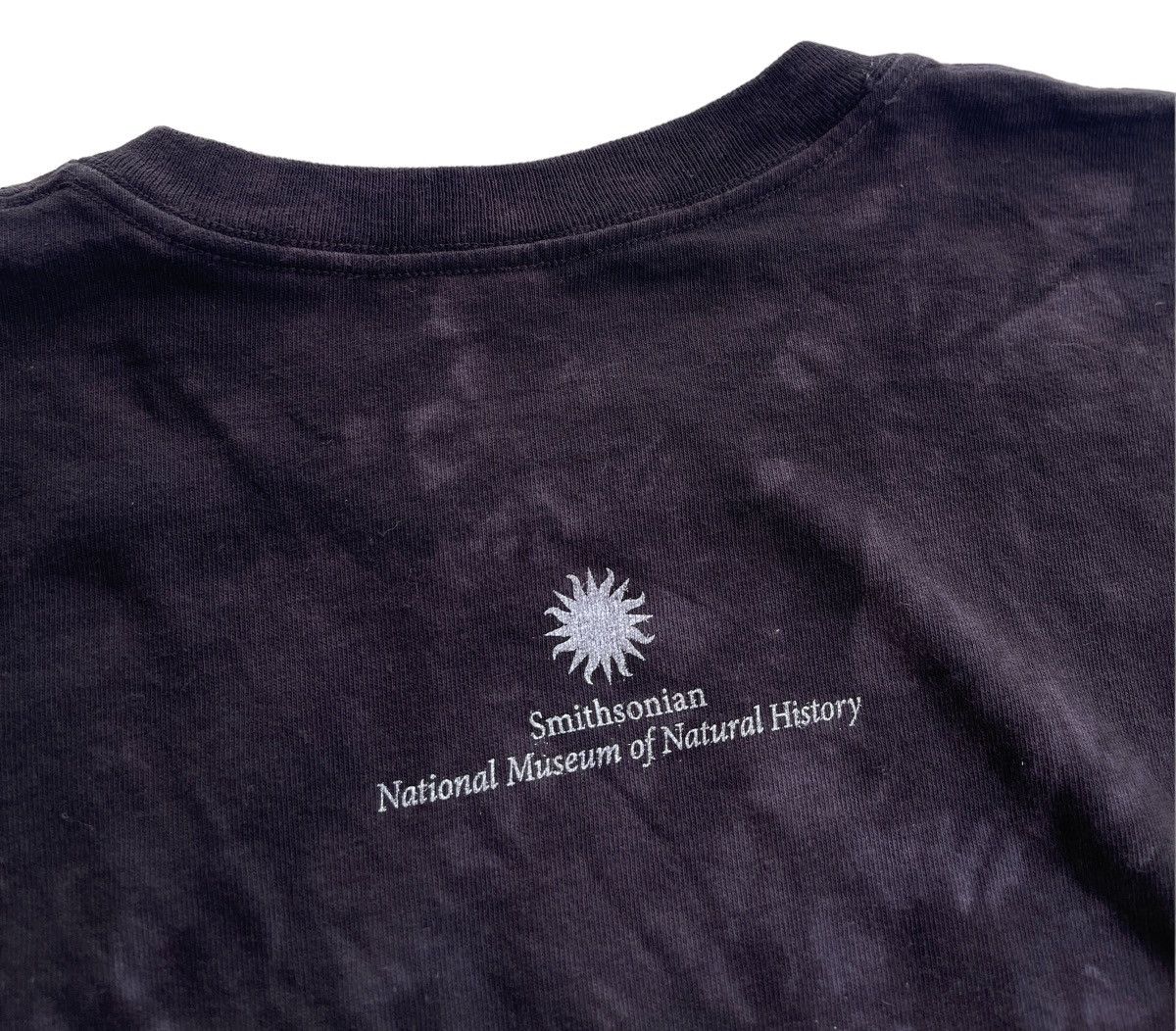 Vintage Smithsonian Blackbird Tees Size US L / EU 52-54 / 3 - 8 Thumbnail