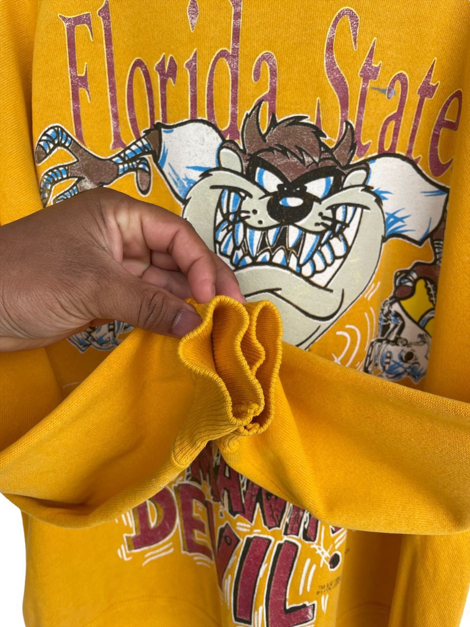 Vintage Last Drop!!Vintage Florida State University X Tazmania Sweat Size US L / EU 52-54 / 3 - 5 Thumbnail