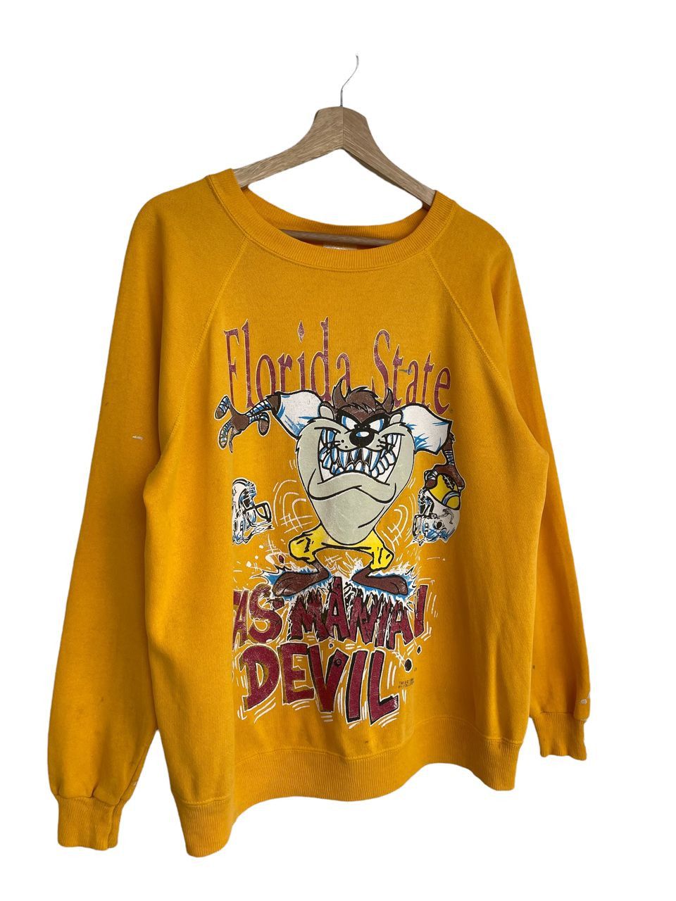 Vintage Last Drop!!Vintage Florida State University X Tazmania Sweat Size US L / EU 52-54 / 3 - 2 Thumbnail