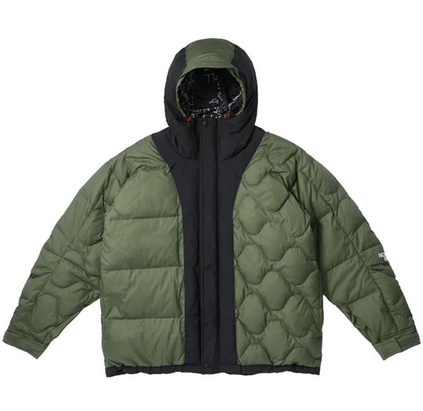 The north face discount urban down jacket