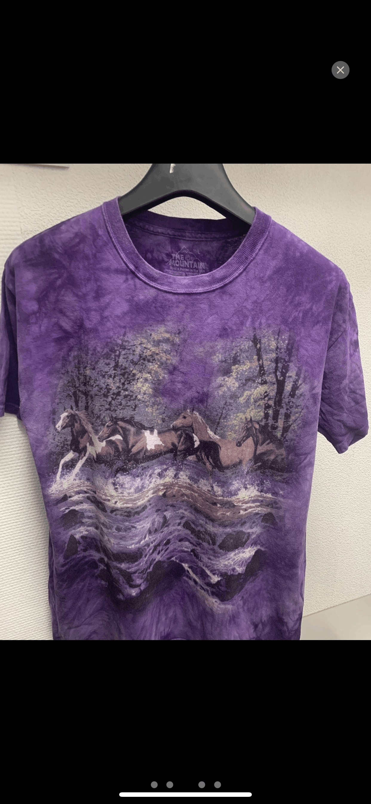 The Mountain The mountain 2004 L size made in Usa fullprint purp t-shirt Size US L / EU 52-54 / 3 - 3 Thumbnail