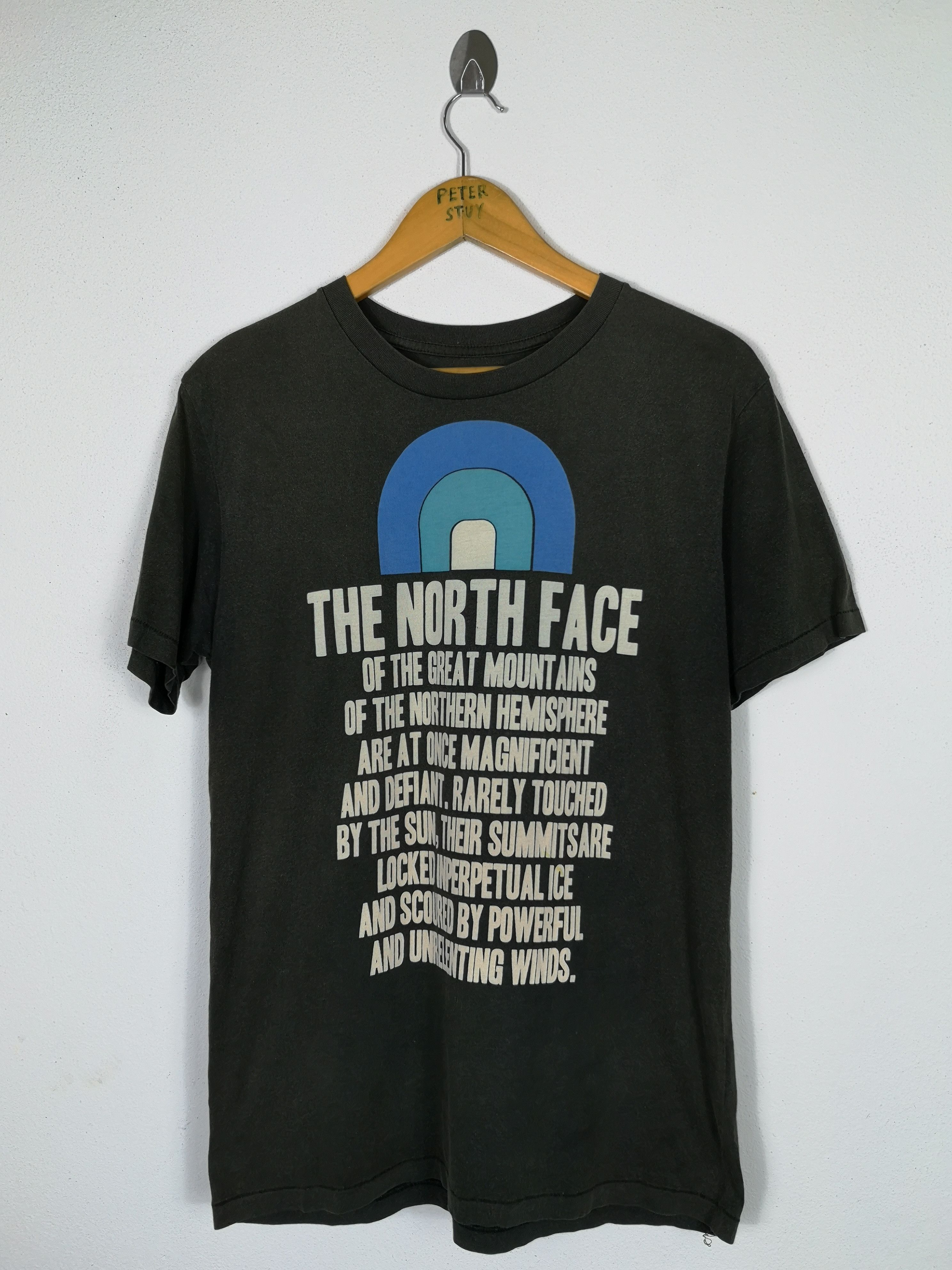 The North Face The North Face Tees Size US M / EU 48-50 / 2 - 1 Thumbnail
