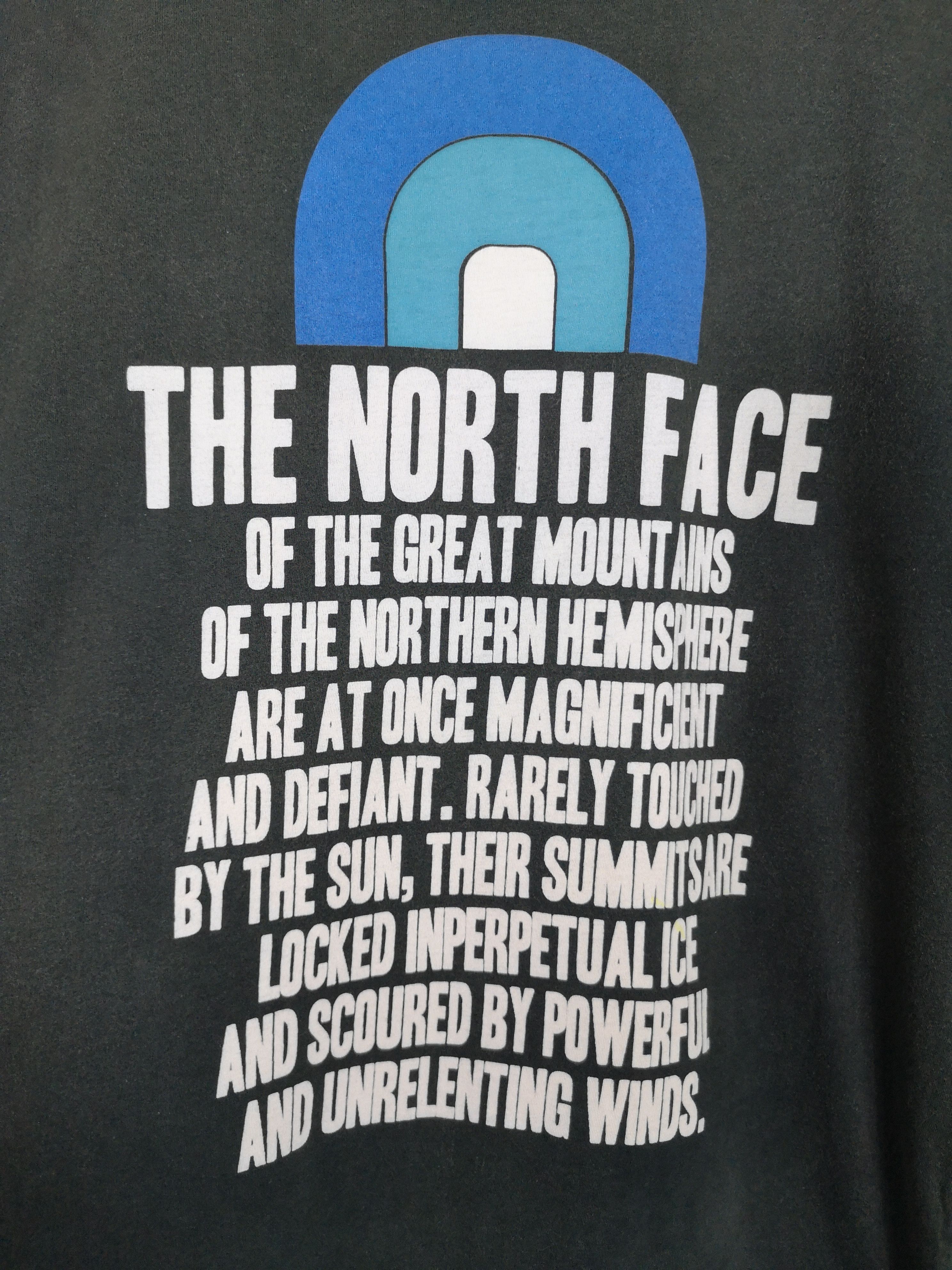 The North Face The North Face Tees Size US M / EU 48-50 / 2 - 2 Thumbnail
