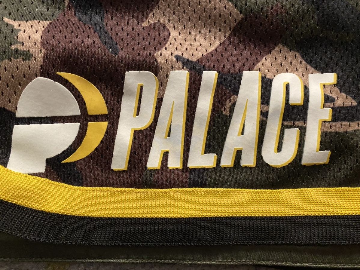 Palace Palace PS Shorts Camo (MEDIUM) Size US 30 / EU 46 - 3 Thumbnail
