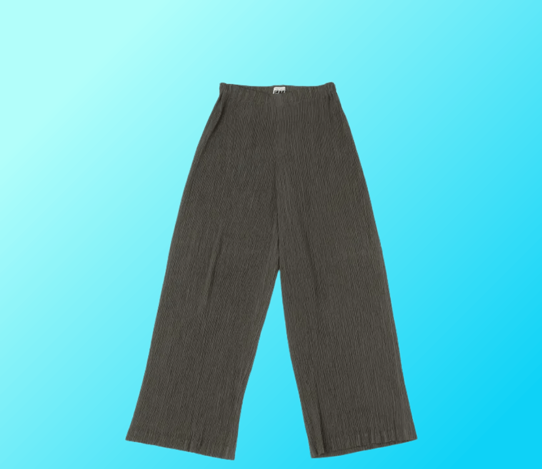Issey Miyake Fete Pleated Pants