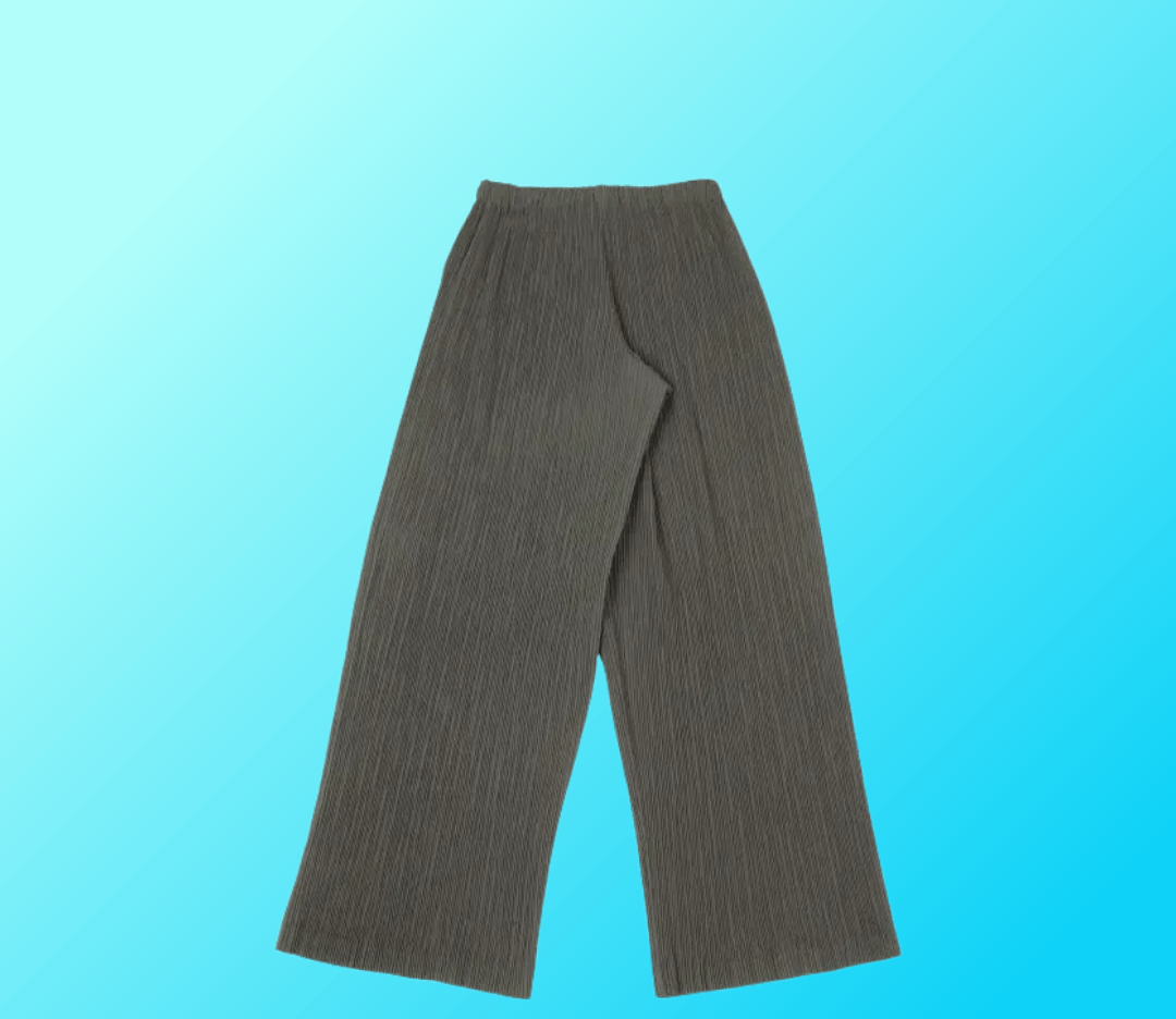 Issey Miyake × Japanese Brand × Vintage Issey Miyake Fete Pleated Pants Size 24" / US 00 / IT 34 - 2 Thumbnail