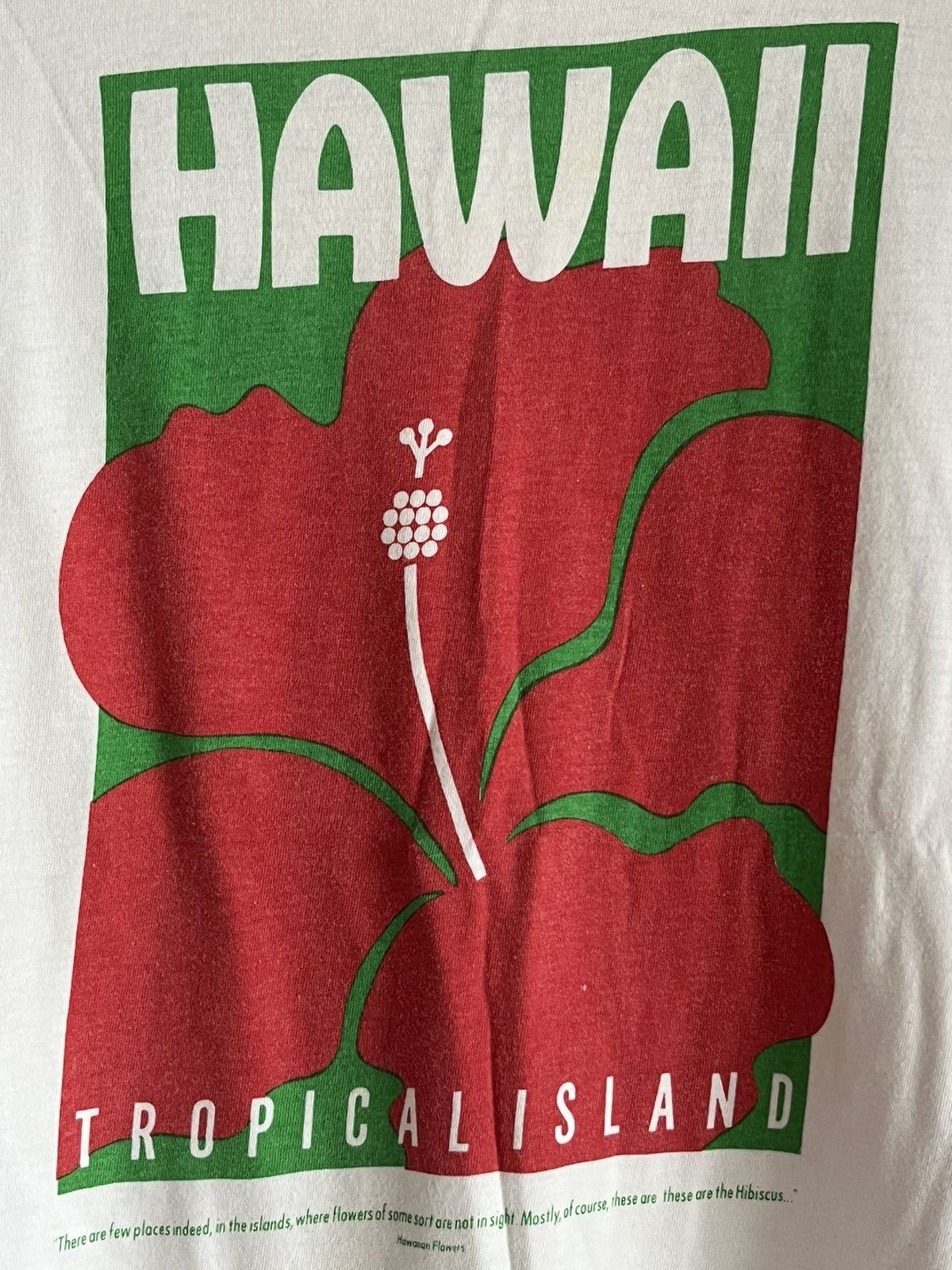 Vintage Hawaii ft79 Size US L / EU 52-54 / 3 - 2 Thumbnail