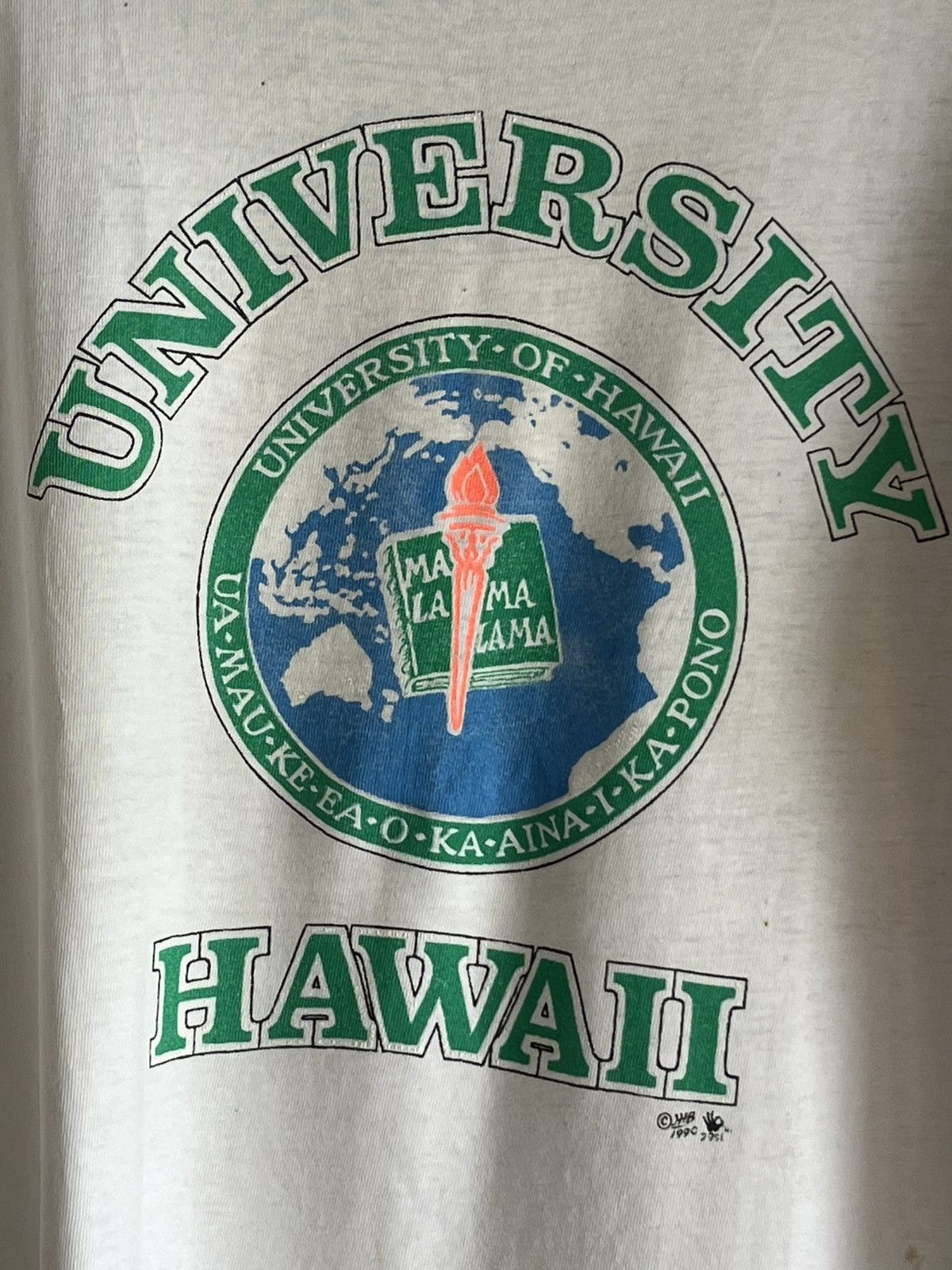 Vintage University hawaii ft79 Size US M / EU 48-50 / 2 - 2 Thumbnail