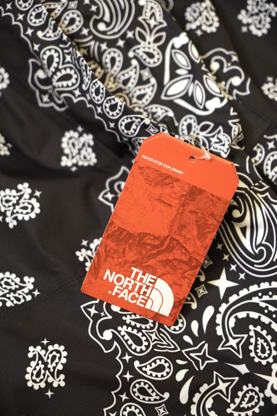 Supreme Supreme x TNF Bandana Mountain Parka in Black Size US M / EU 48-50 / 2 - 4 Thumbnail
