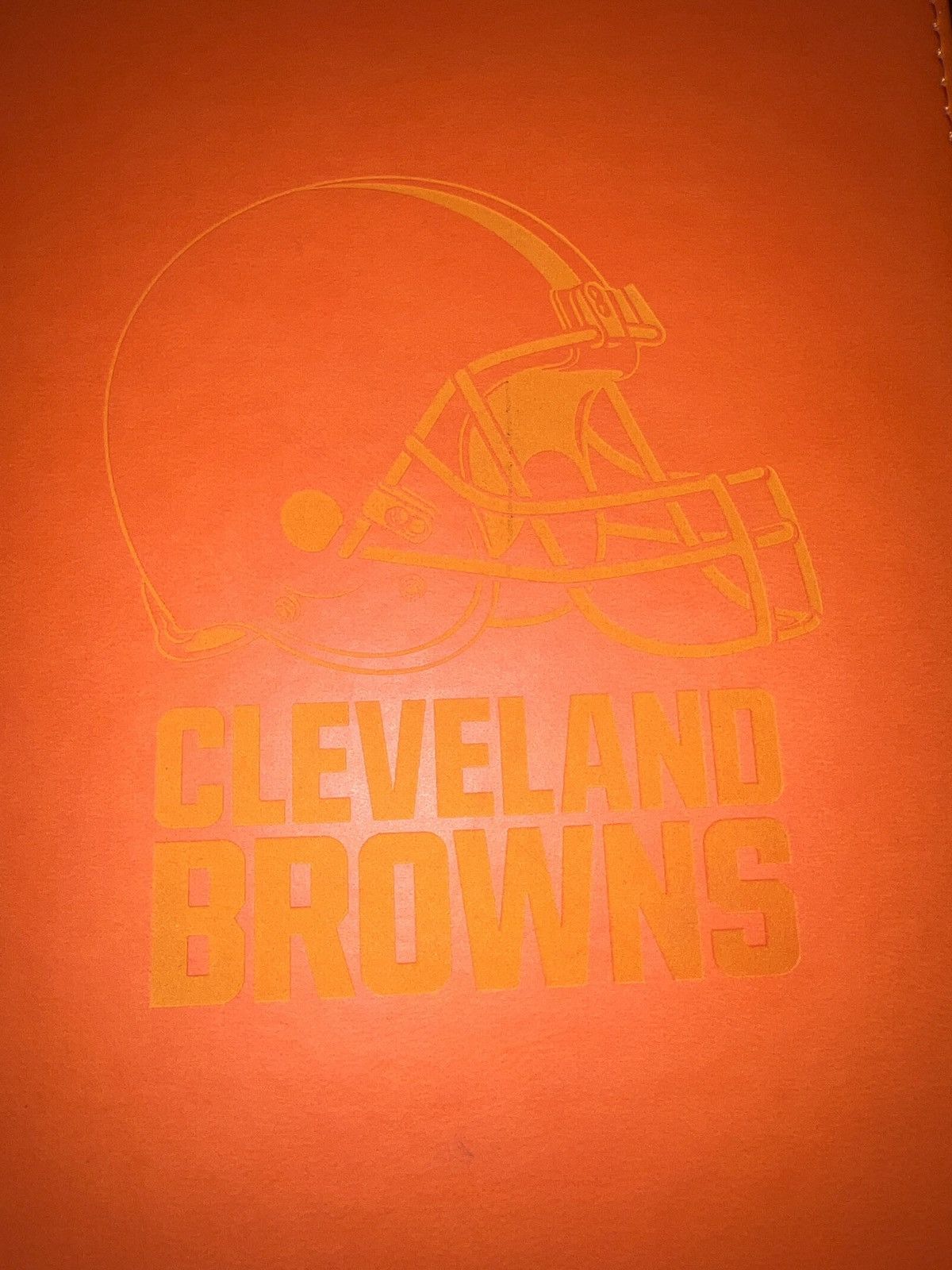 Hypebeast × NFL NFL Cleveland Browns Writing Instruments Notebook Size ONE SIZE - 2 Thumbnail