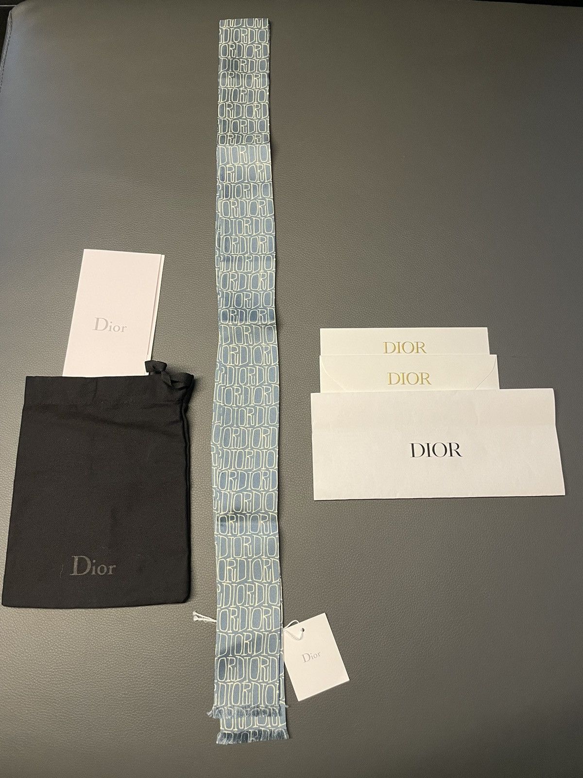 Dior Extremely Rare Runway Dior x Shawn Fluid Logo Silk Tie Size ONE SIZE - 10 Thumbnail