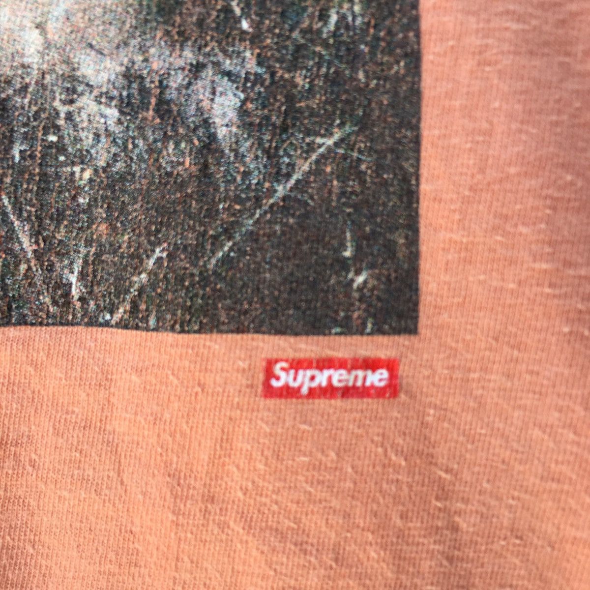 Supreme Rare SS11 Supreme Safari Elephant Print Tee Size US M / EU 48-50 / 2 - 12 Thumbnail
