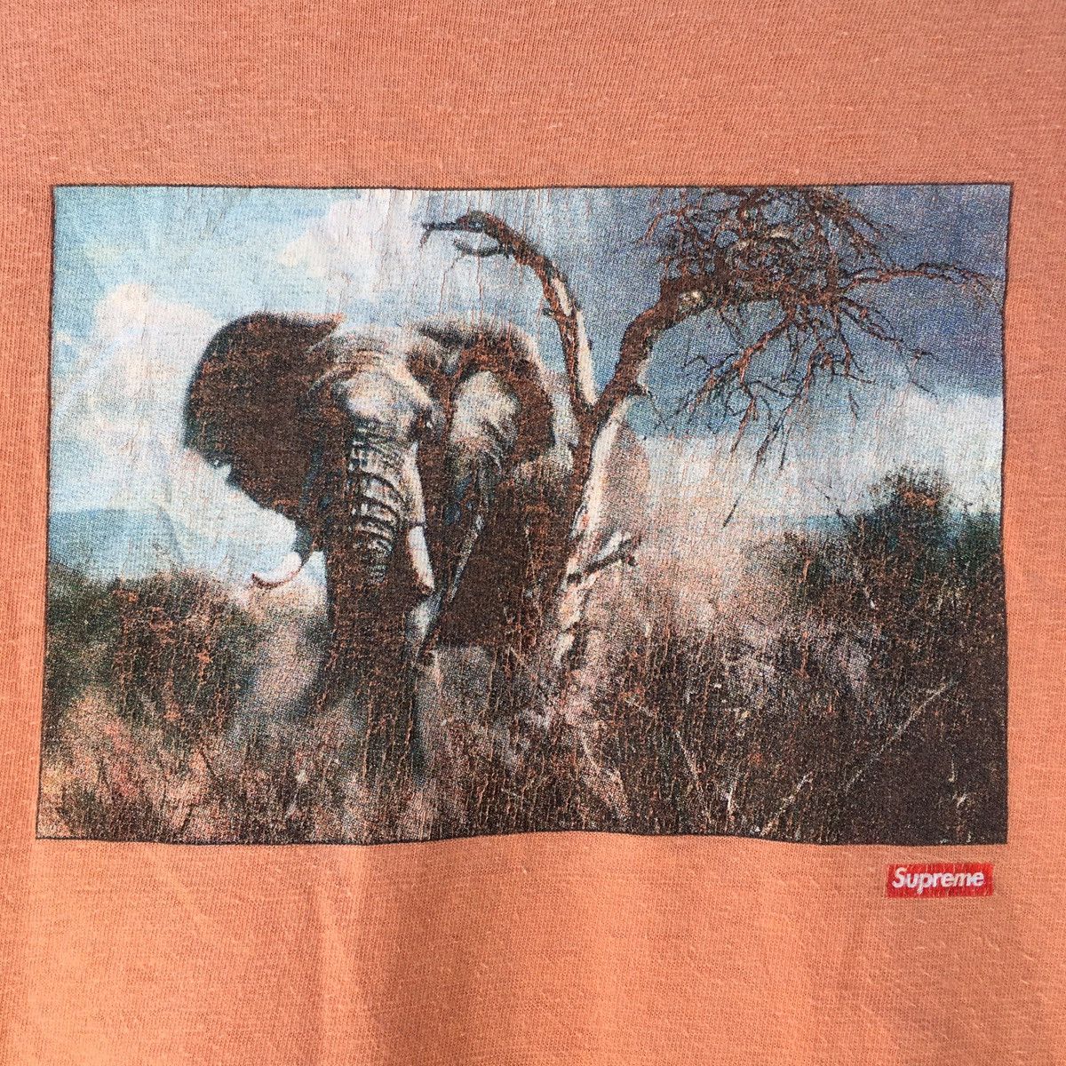 Supreme Rare SS11 Supreme Safari Elephant Print Tee Size US M / EU 48-50 / 2 - 8 Thumbnail