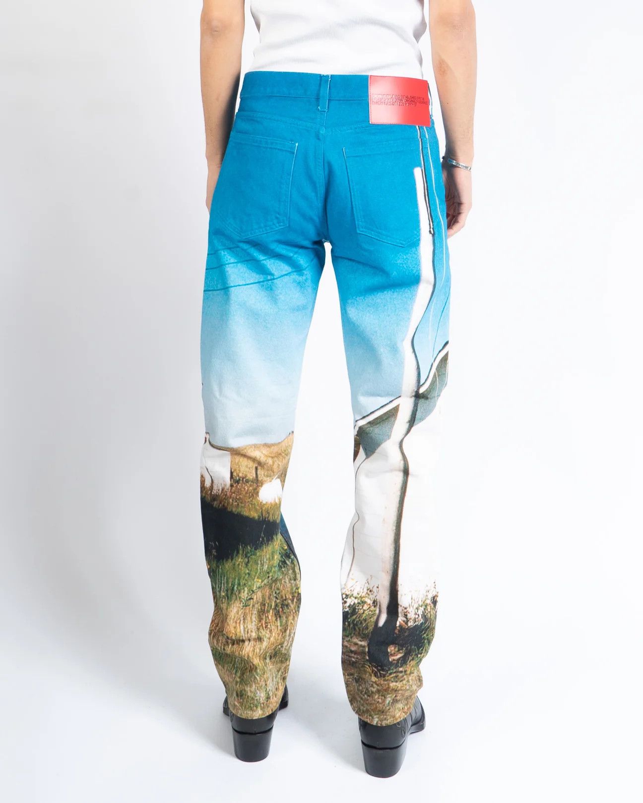 Calvin Klein 205W39NYC × Raf Simons Schoolhouse Printed Denim Size US 31 - 4 Thumbnail
