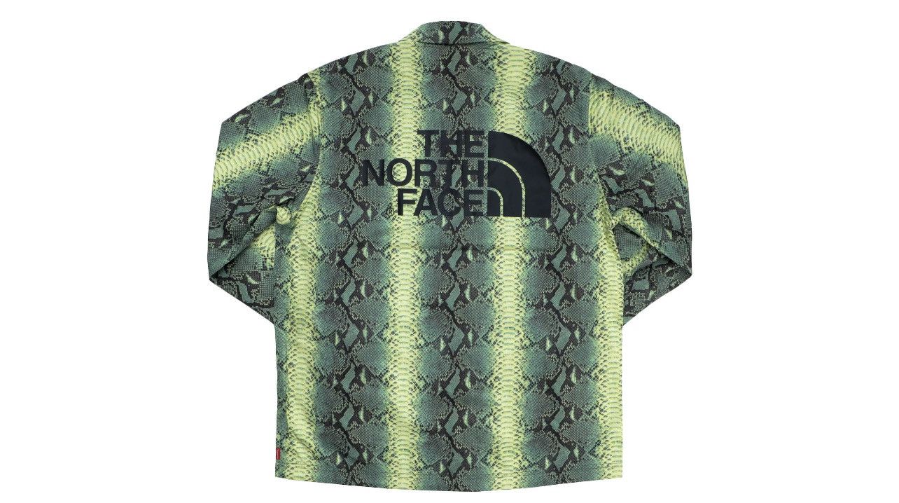 Supreme × The North Face SS18 Snakeskin Taped Seam Coaches Jacket Size US L / EU 52-54 / 3 - 2 Thumbnail