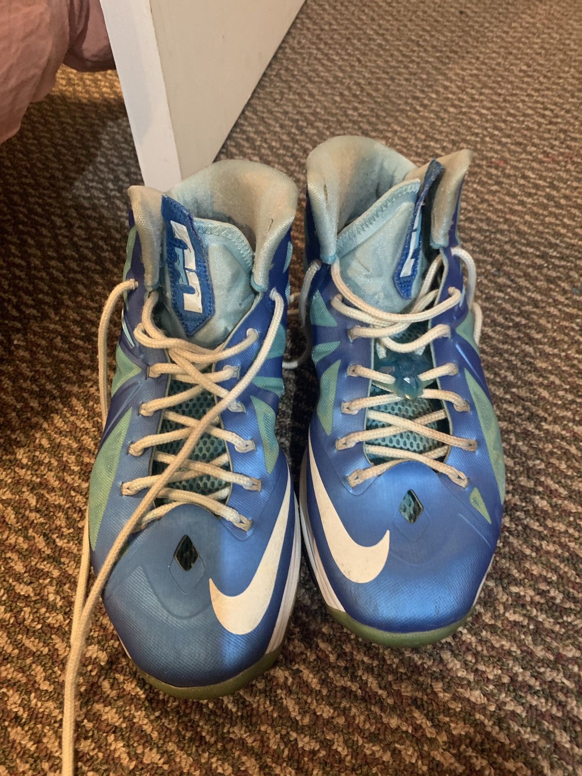 Nike x Lebron 10s