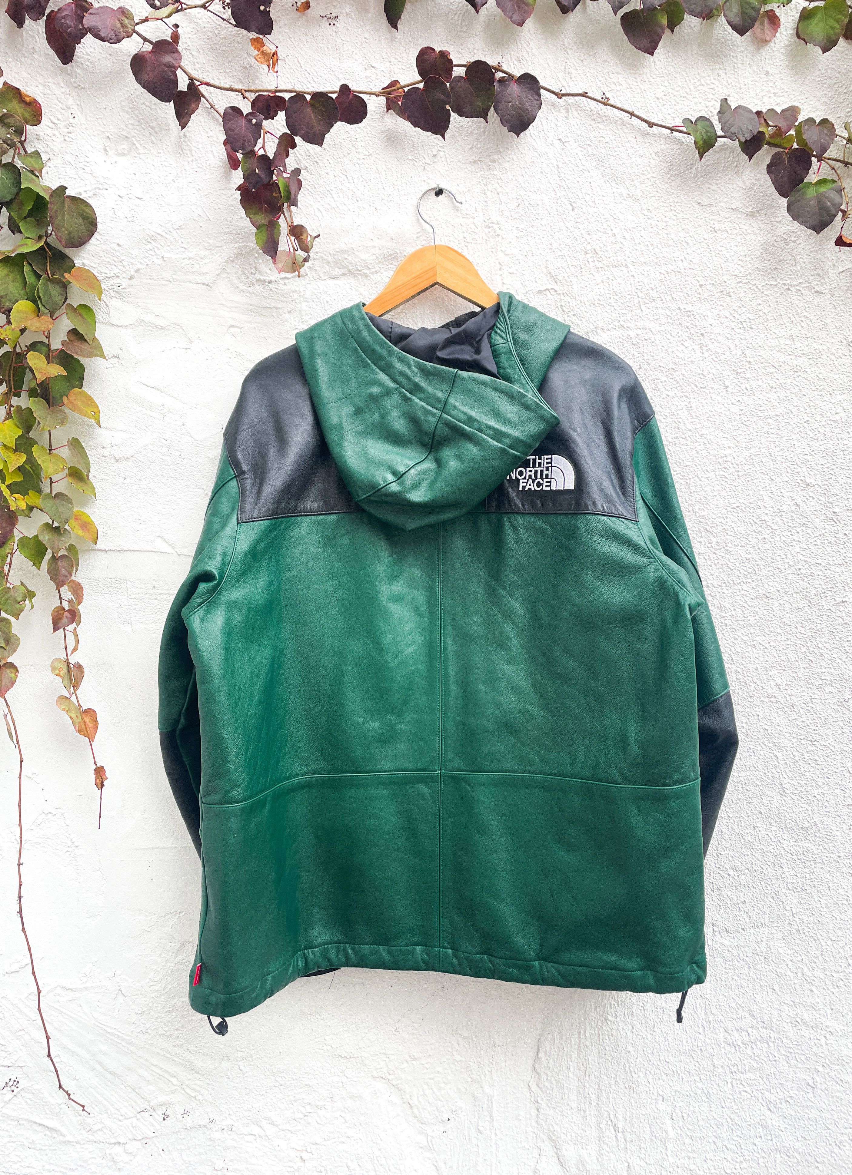 Supreme × The North Face Supreme X TNF Green Leather
