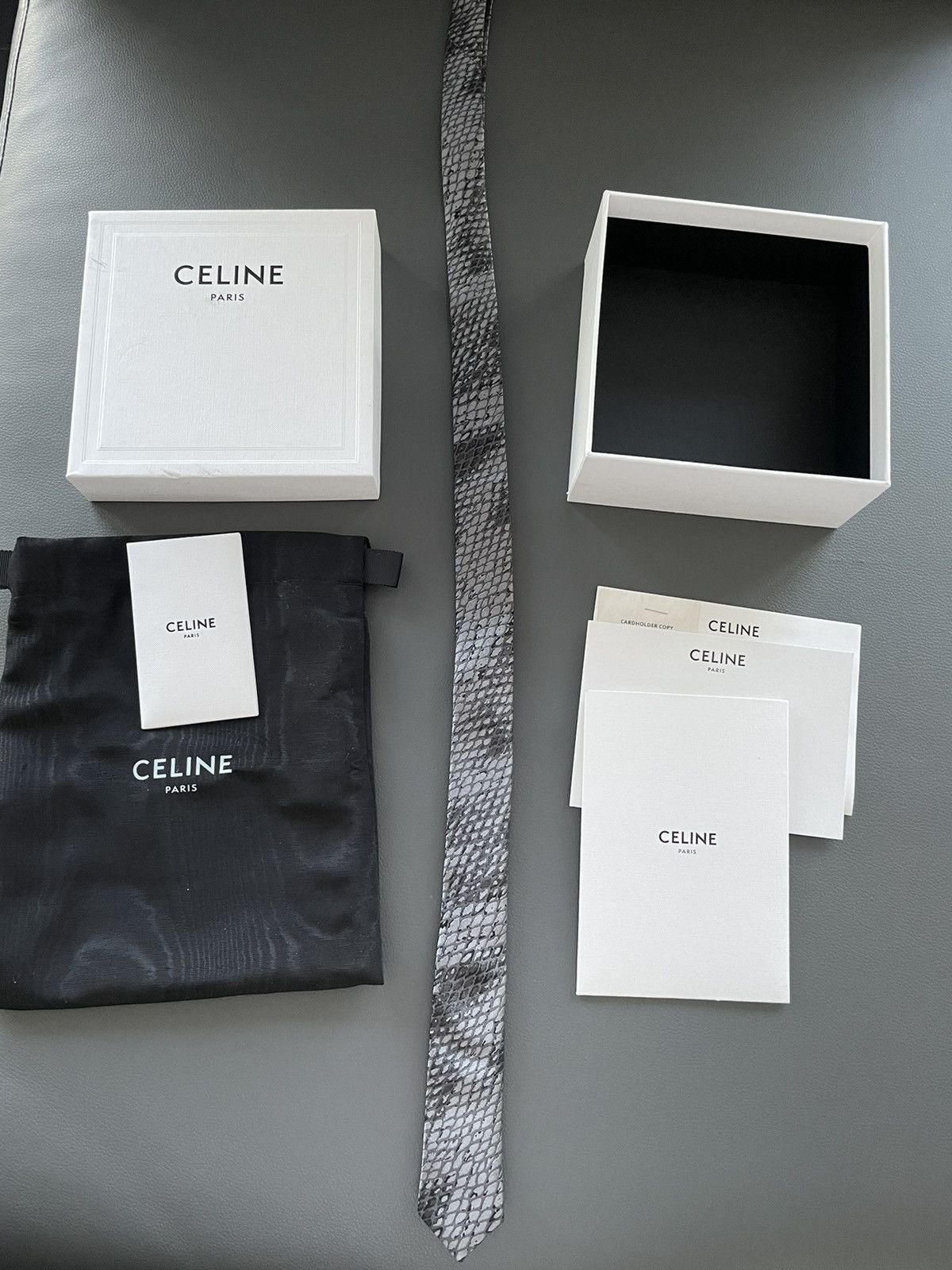 Celine × Hedi Slimane HEDI Runway Limited Edition Python Print Silk Tie Brand NEW Size ONE SIZE - 4 Thumbnail