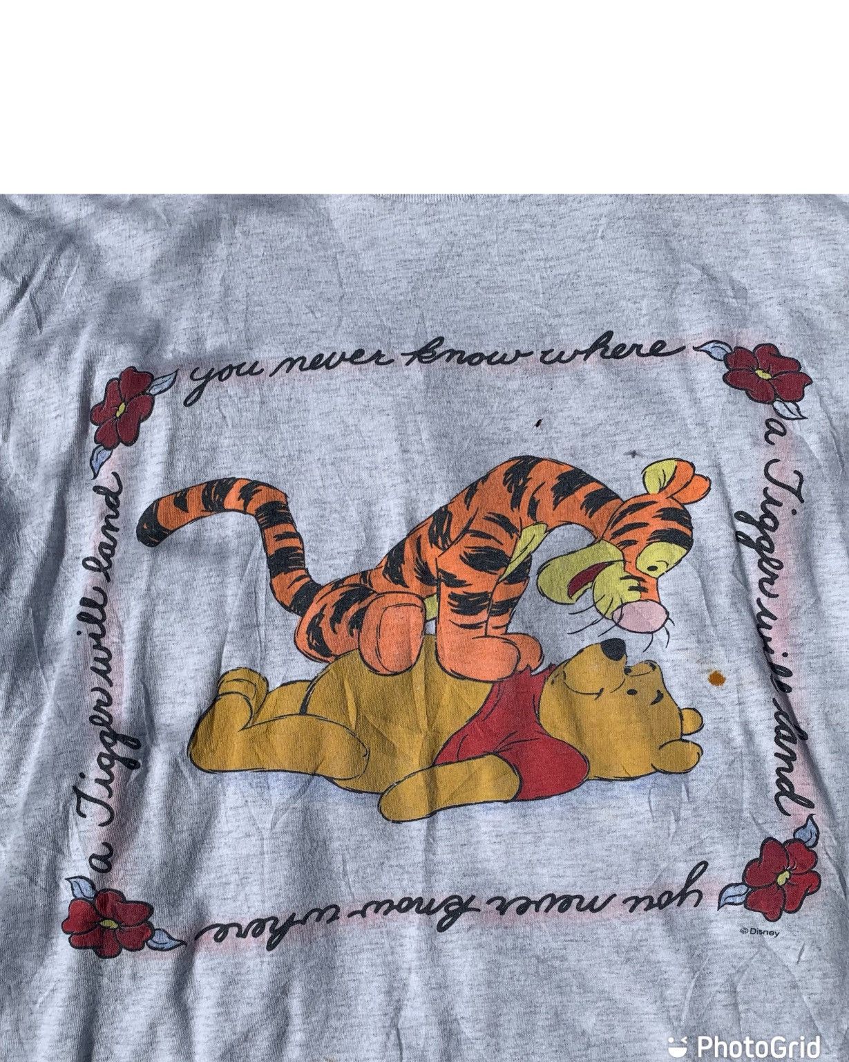 Disney Tiger and pooh Disney tshirt tee Size US XXL / EU 58 / 5 - 2 Thumbnail