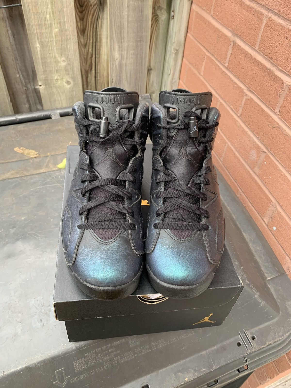 Jordan Brand × Nike Air Jordan 6 Retro All Star Chameleon Size US 8.5 / EU 41-42 - 2 Thumbnail