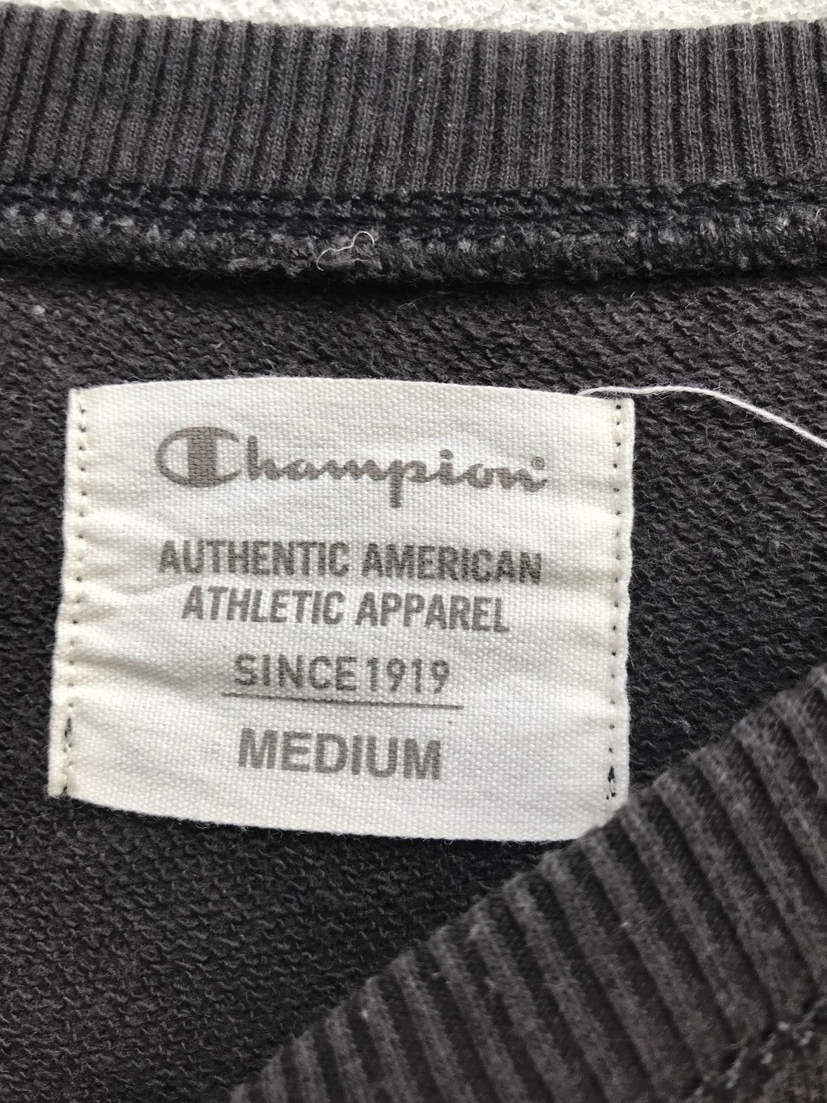 Champion Champion Michigan Crewneck Sweatshirt Pullover Sweater Size US M / EU 48-50 / 2 - 5 Thumbnail