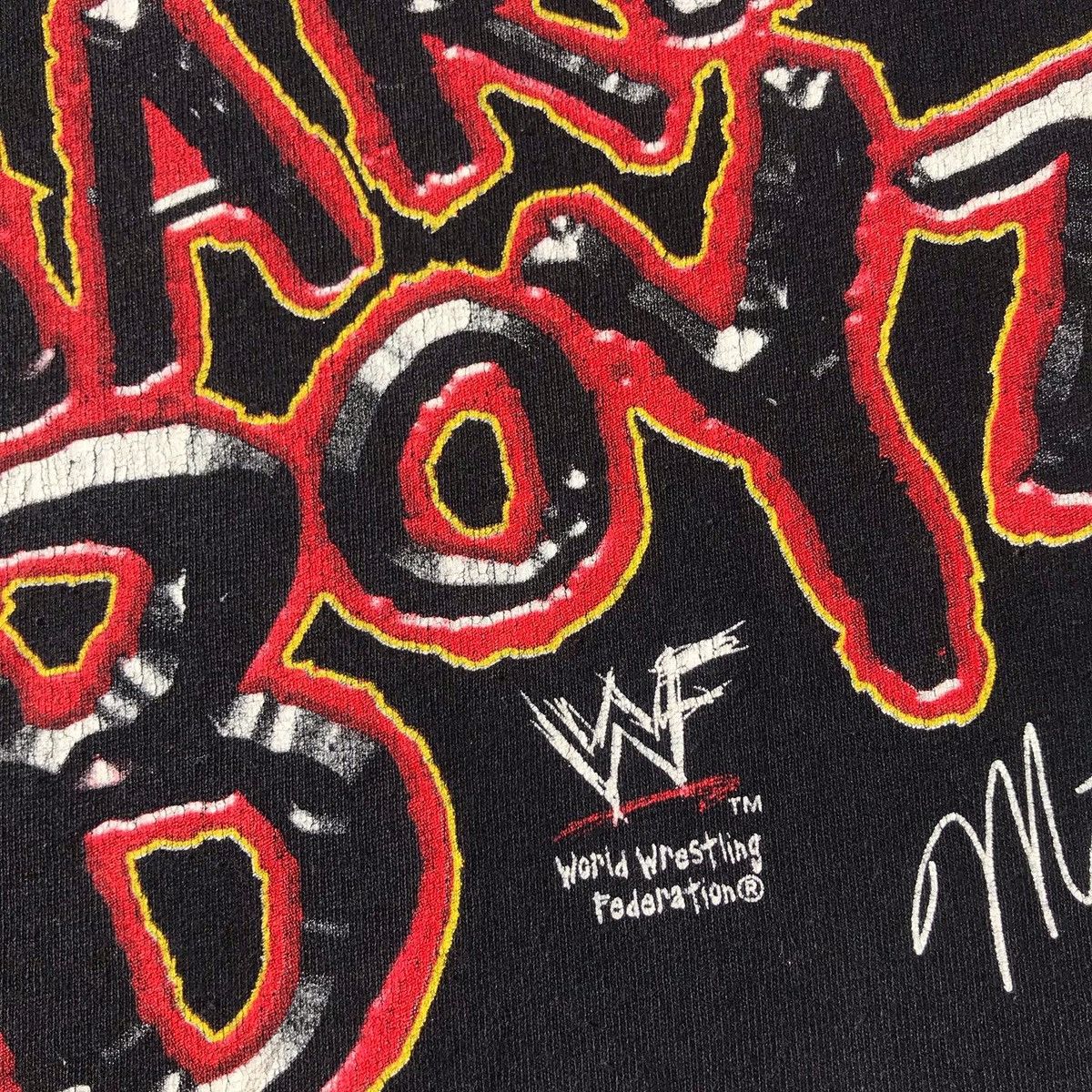 Vintage × WWE × WWF Vintage 2000 Hardy Boyz Tee Size US L / EU 52-54 / 3 - 10 Thumbnail