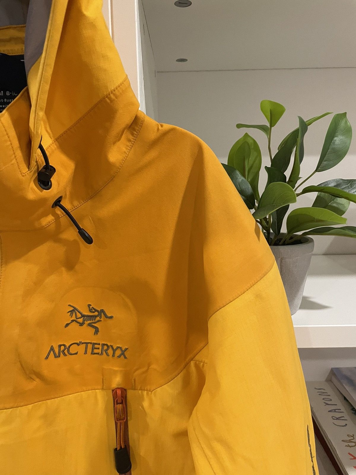 image of Arcteryx x Goretex Arc’Teryx Beta Ar 00S Tangerine, Men's (Size Small)