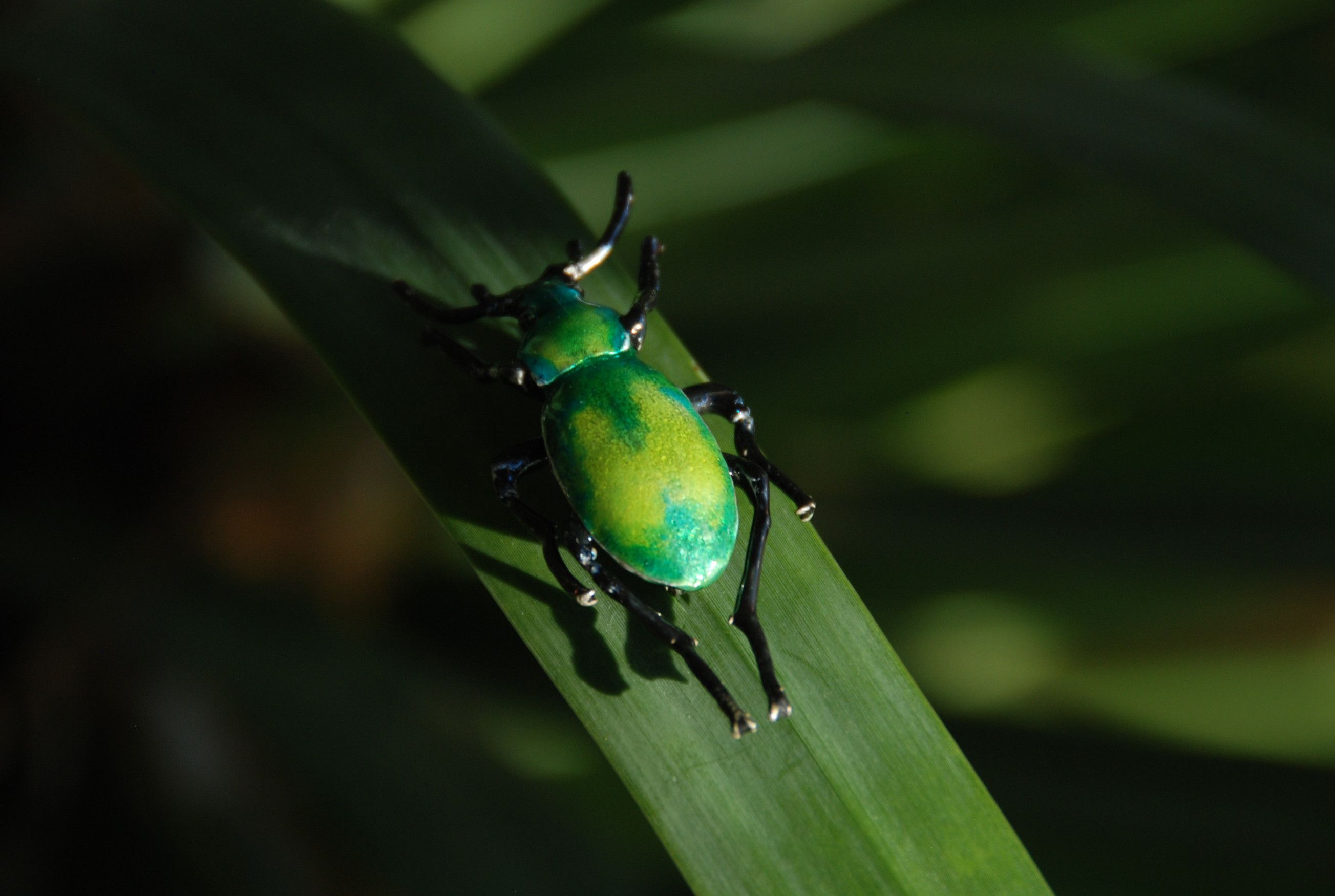 Other Last drop! Beetle brooch massive silver and enamel Size ONE SIZE - 1 Thumbnail