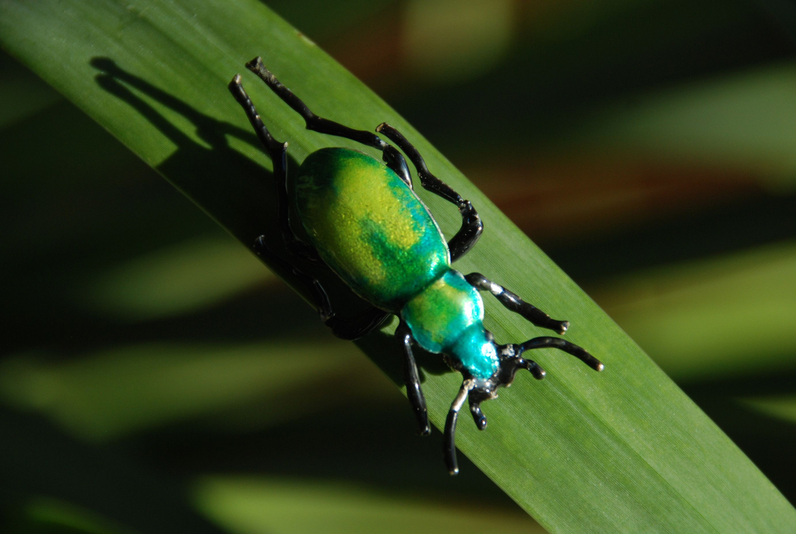 Other Last drop! Beetle brooch massive silver and enamel Size ONE SIZE - 3 Thumbnail