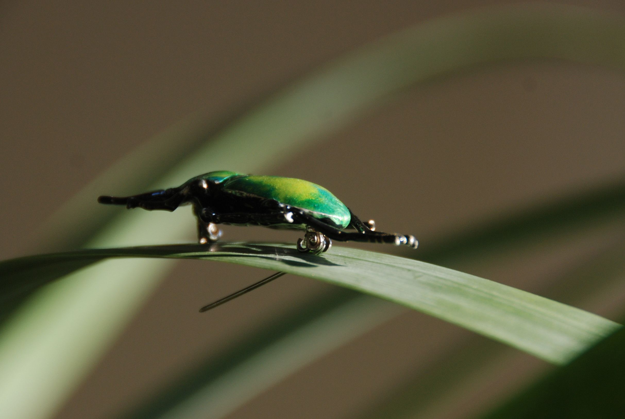 Other Last drop! Beetle brooch massive silver and enamel Size ONE SIZE - 4 Thumbnail