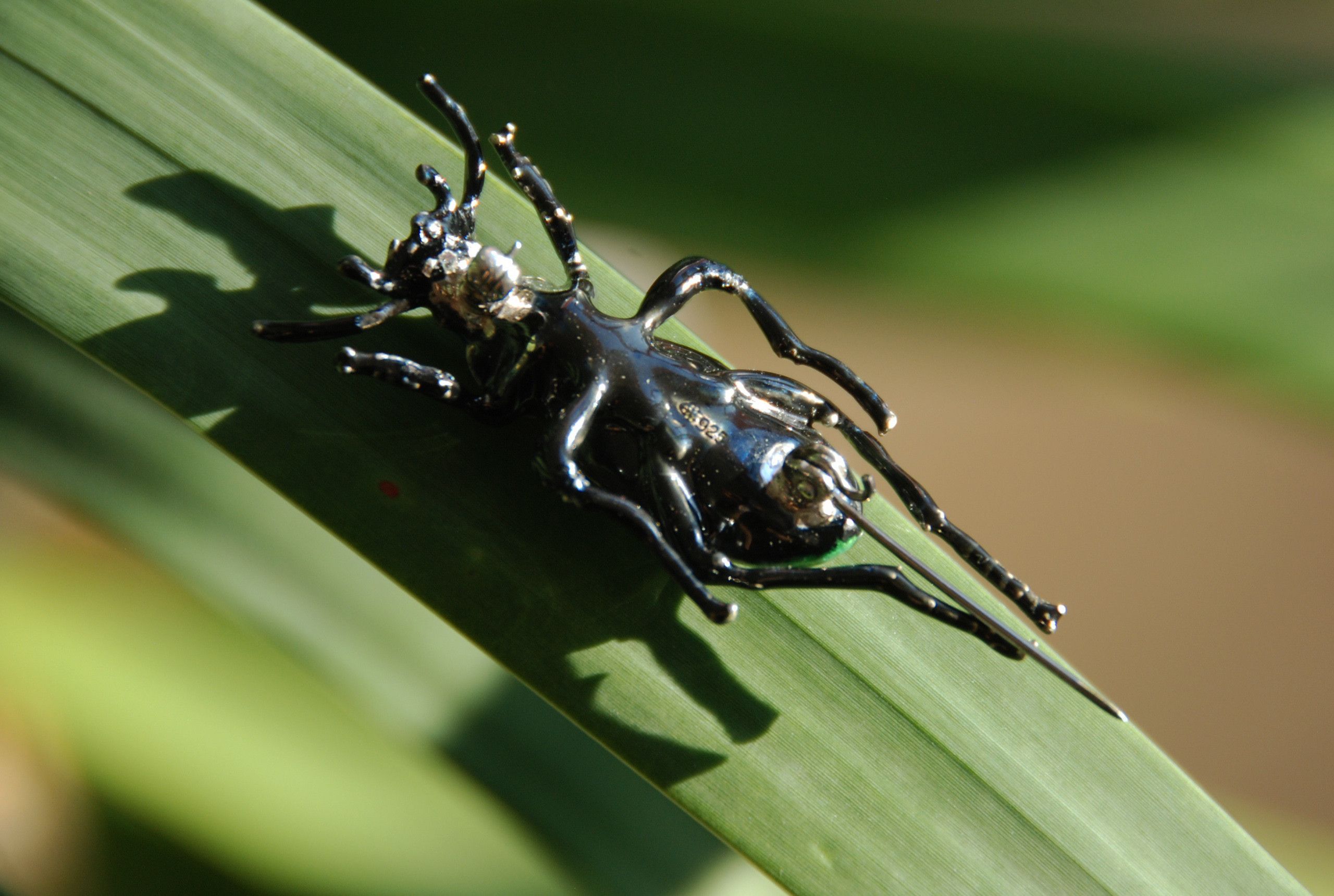 Other Last drop! Beetle brooch massive silver and enamel Size ONE SIZE - 5 Thumbnail