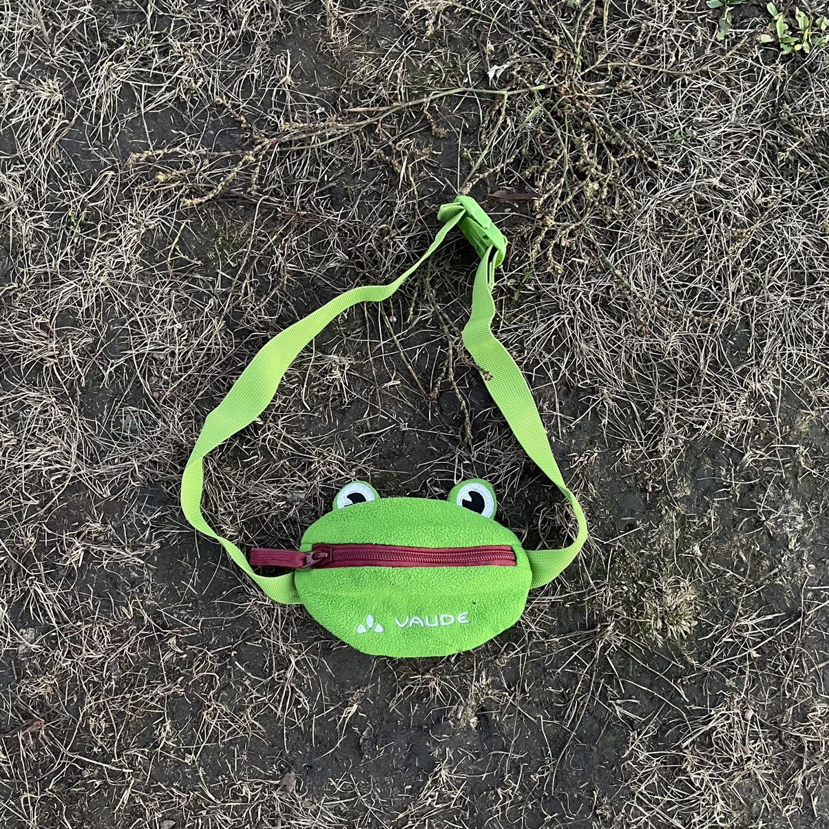 Japanese Brand Vintage Y2K Frog Crossbody Bag With Pockets Streetwear Size ONE SIZE - 2 Thumbnail
