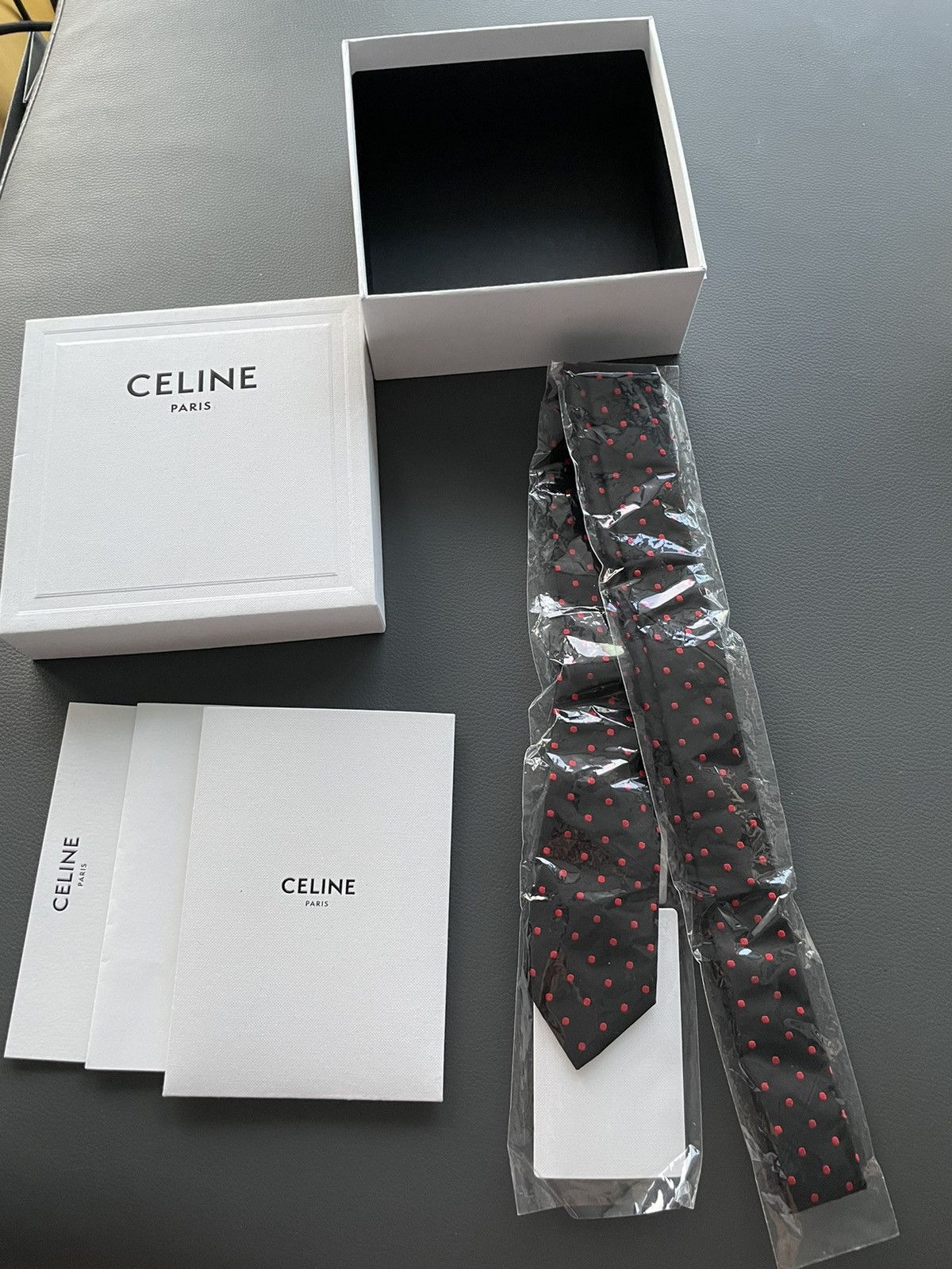 Celine × Hedi Slimane Rare Limited Edition Celine by Hedi Slimane Runway Silk Tie Size ONE SIZE - 9 Thumbnail