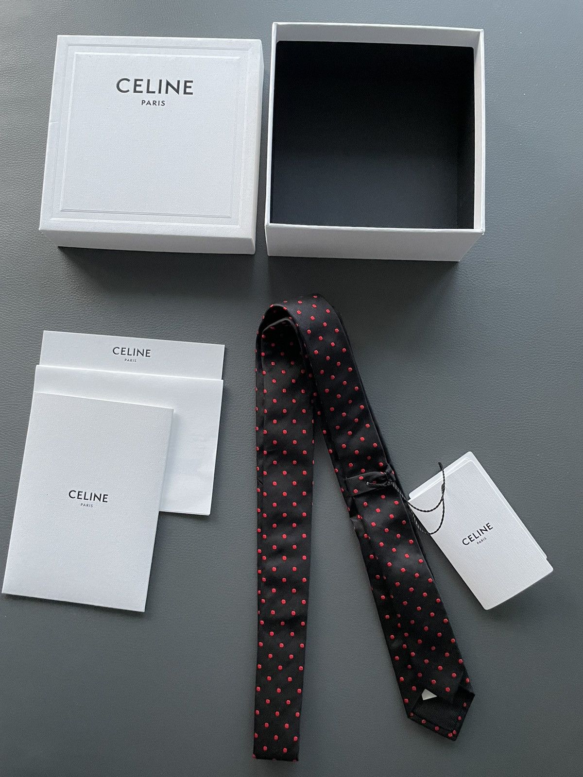 Celine × Hedi Slimane Rare Limited Edition Celine by Hedi Slimane Runway Silk Tie Size ONE SIZE - 4 Thumbnail