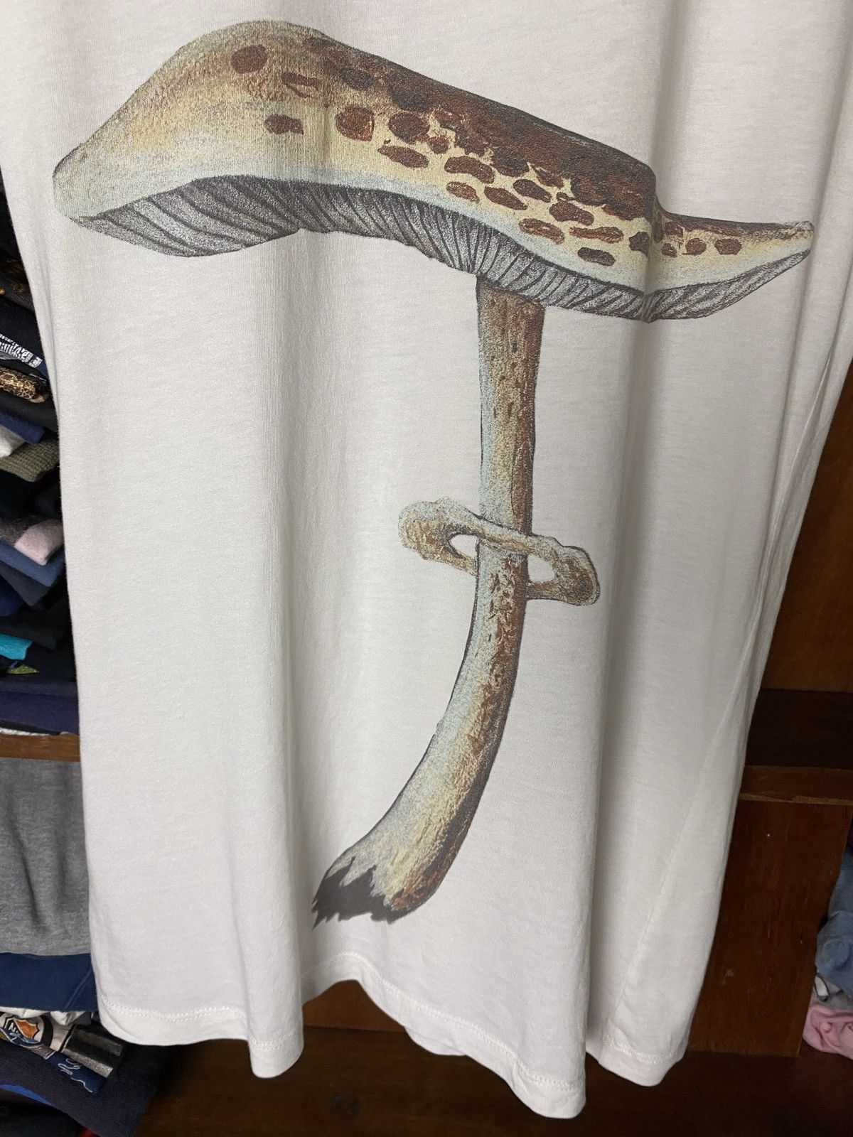 Loewe LOEWE Mushroom Graphic Tshirt Size US S / EU 44-46 / 1 - 12 Thumbnail