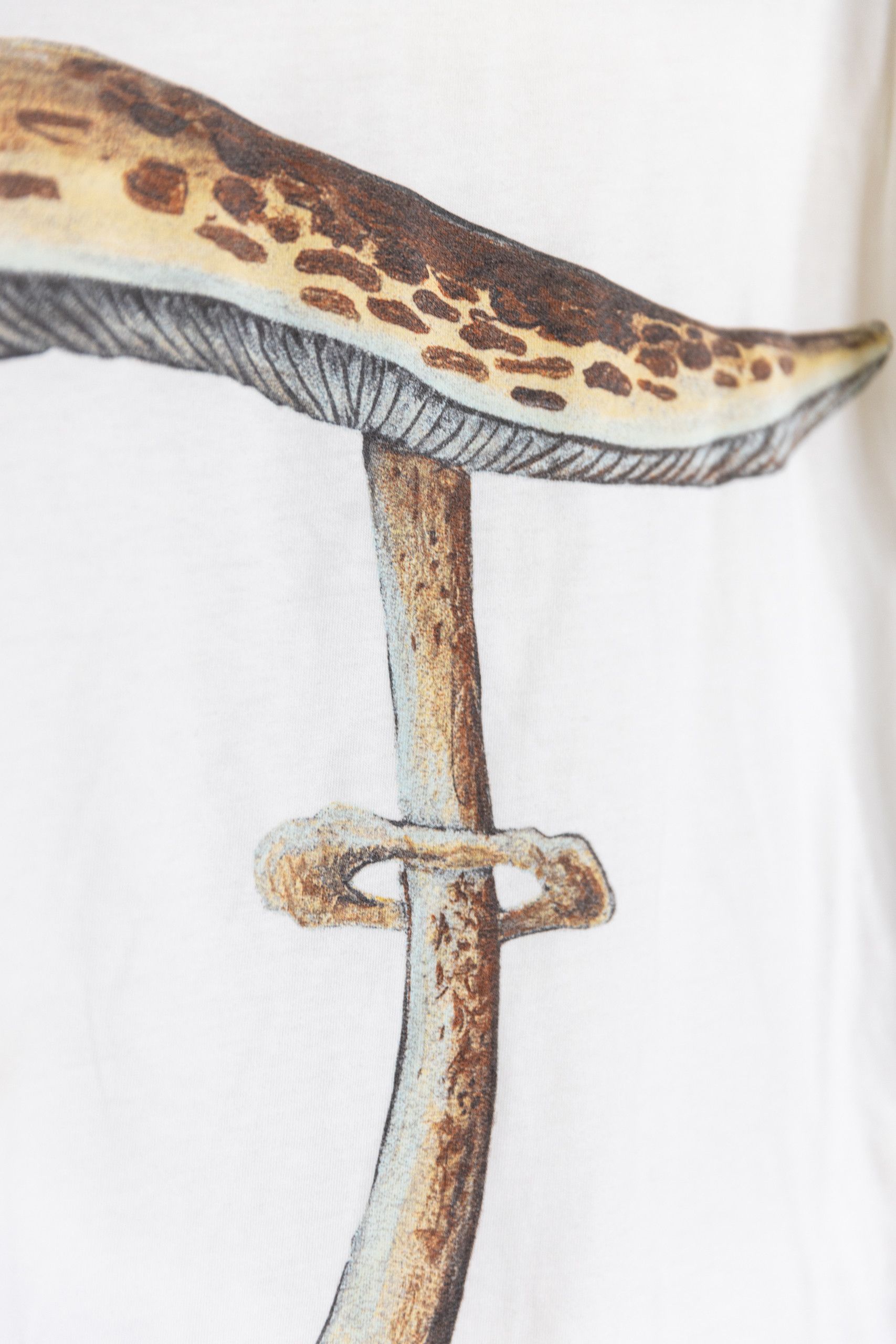 Loewe LOEWE Mushroom Graphic Tshirt Size US S / EU 44-46 / 1 - 7 Thumbnail