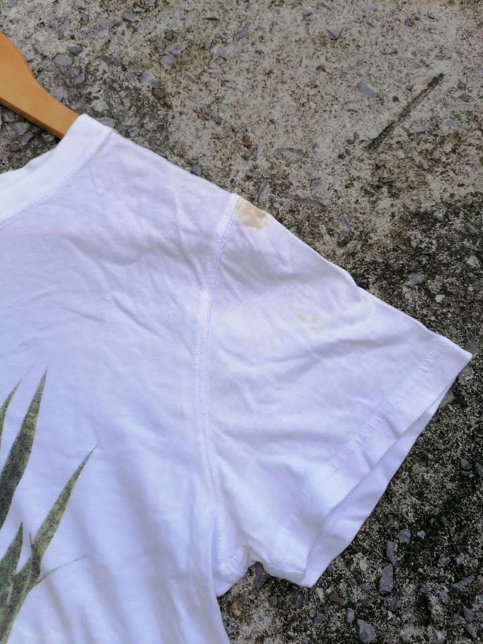 CABANE de ZUCCa × Japanese Brand Zucca Dayz Plant Photo Tee Size S / US 4 / IT 40 - 2 Thumbnail