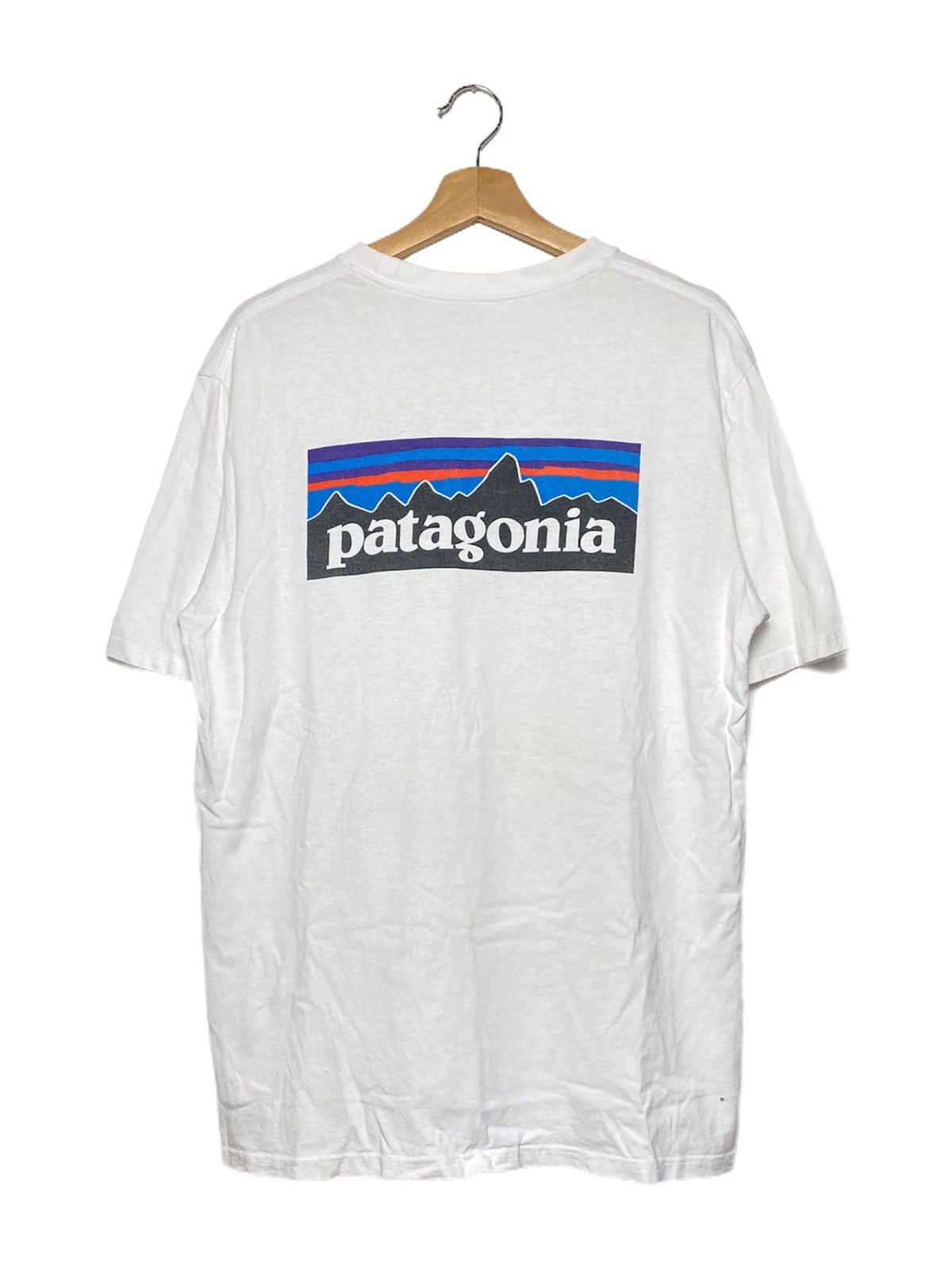 Patagonia Big Logo Tees