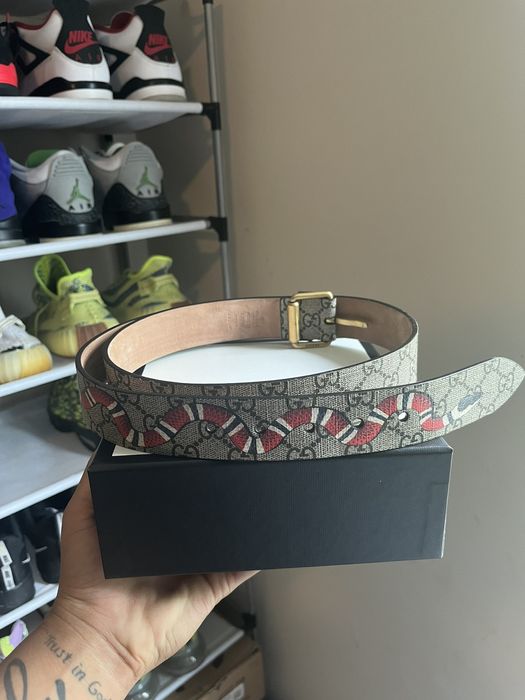 Gucci Belt Supreme Kingsnake Brown for Men