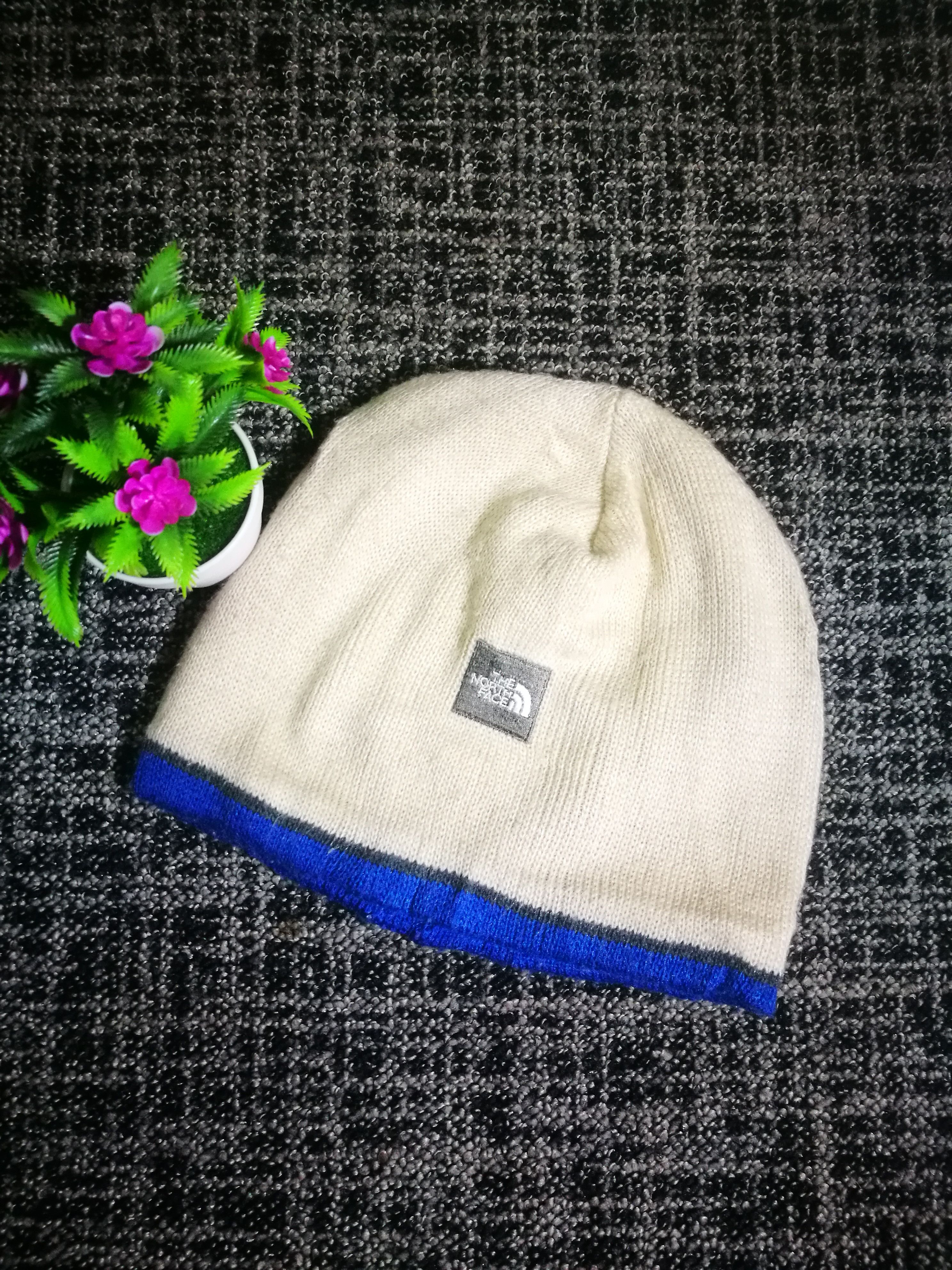 The Nort Face Beanie Hat