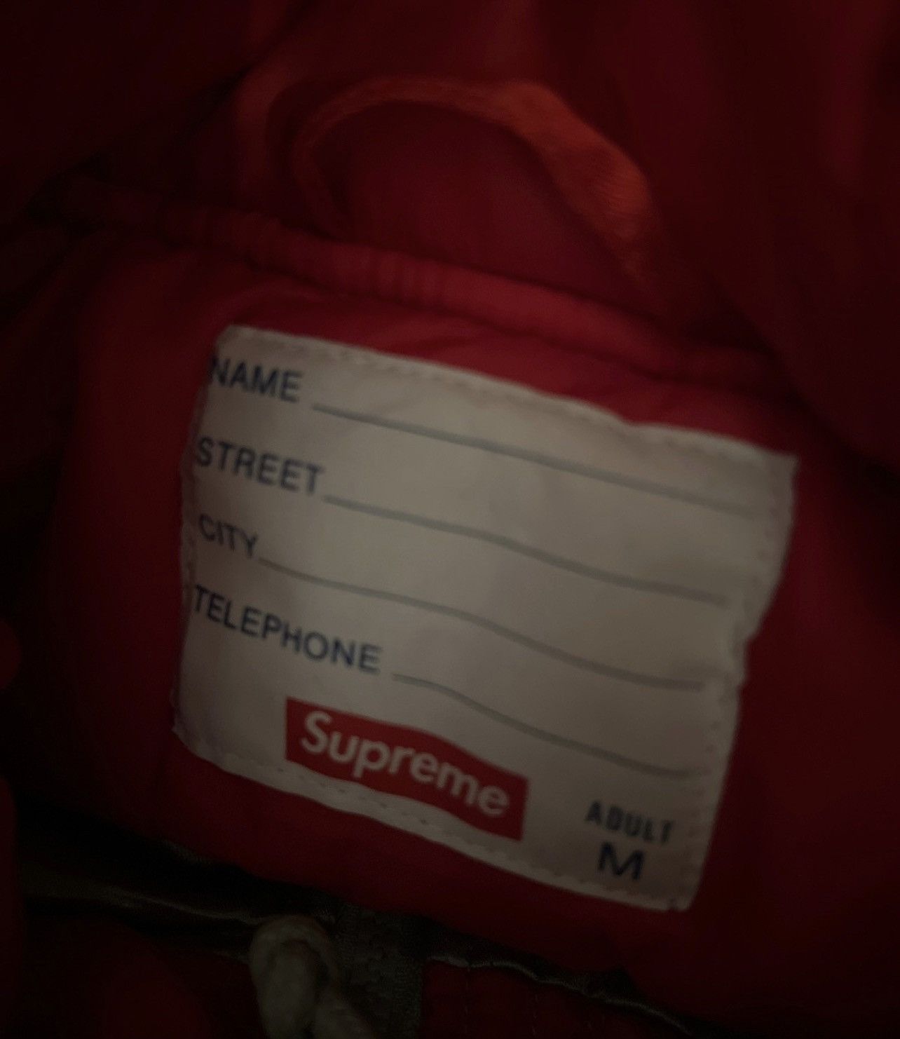 Supreme Supreme Quilted Satin Sideline Parka Size US M / EU 48-50 / 2 - 4 Thumbnail