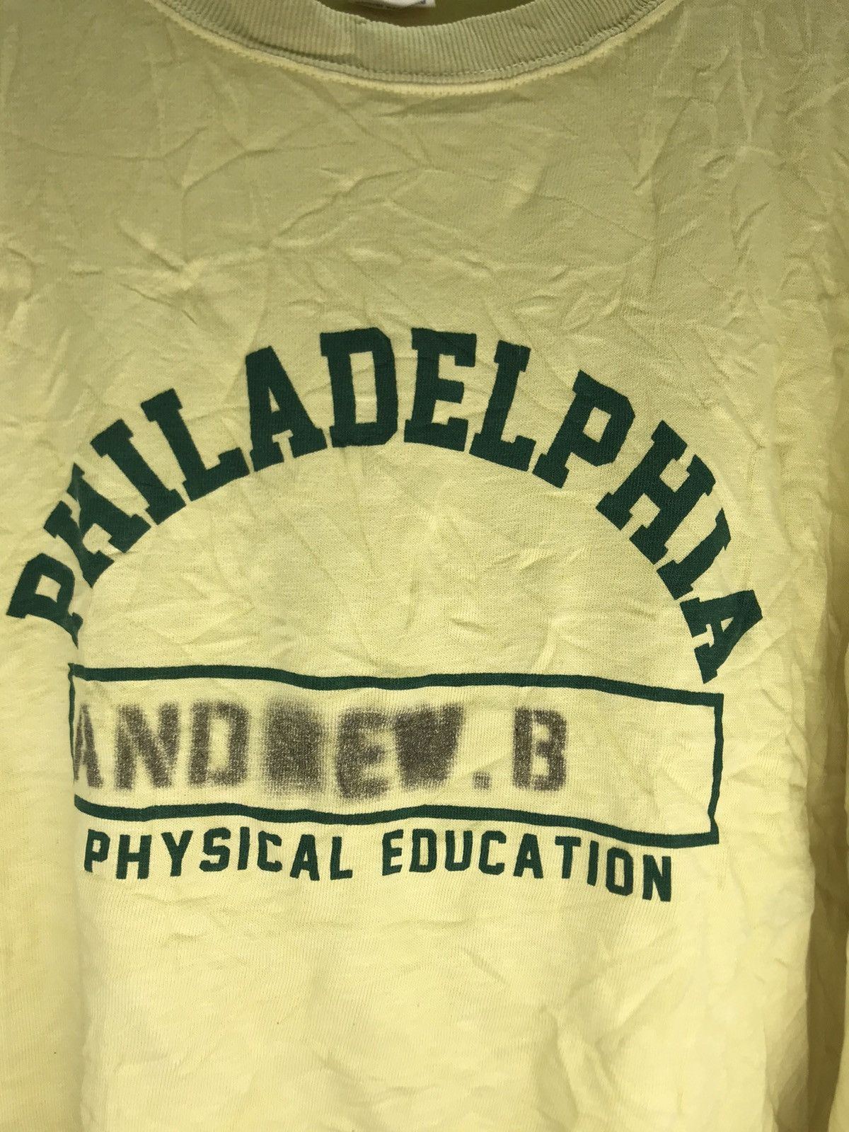 Champion Vintage repro Champion Philadelphia Physical edu Sweatshirt Size US M / EU 48-50 / 2 - 4 Thumbnail