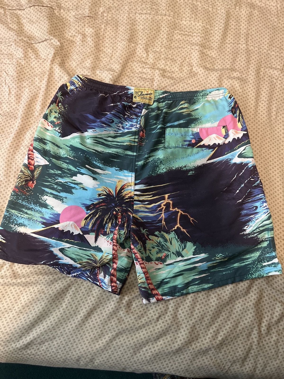 Icecream Icecream Running Dog Guam Shorts- Large Size US 33 - 4 Thumbnail
