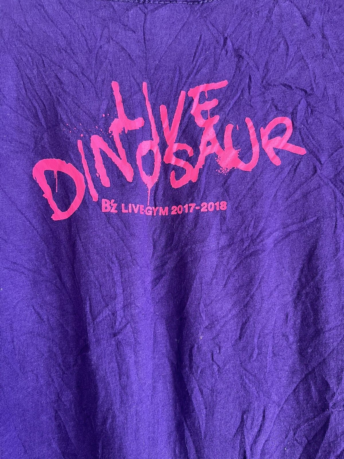 Vintage Dinasour ft32 Size US XL / EU 56 / 4 - 5 Thumbnail