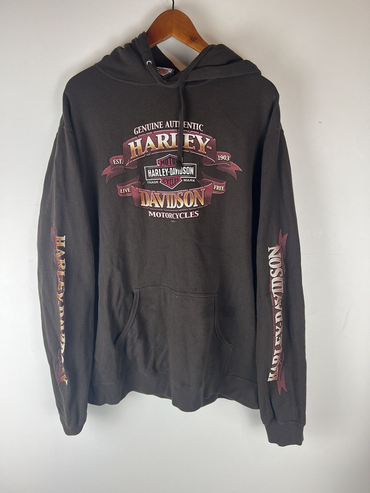 Harley Davidson Harley Davidson Hoodie Size US L / EU 52-54 / 3 - 1 Thumbnail