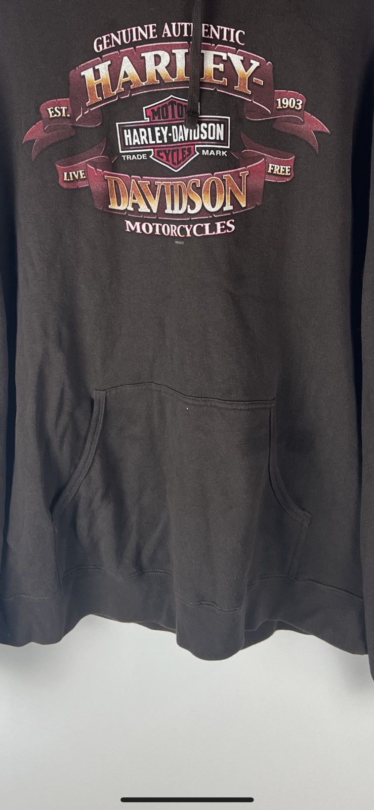 Harley Davidson Harley Davidson Hoodie Size US L / EU 52-54 / 3 - 6 Thumbnail