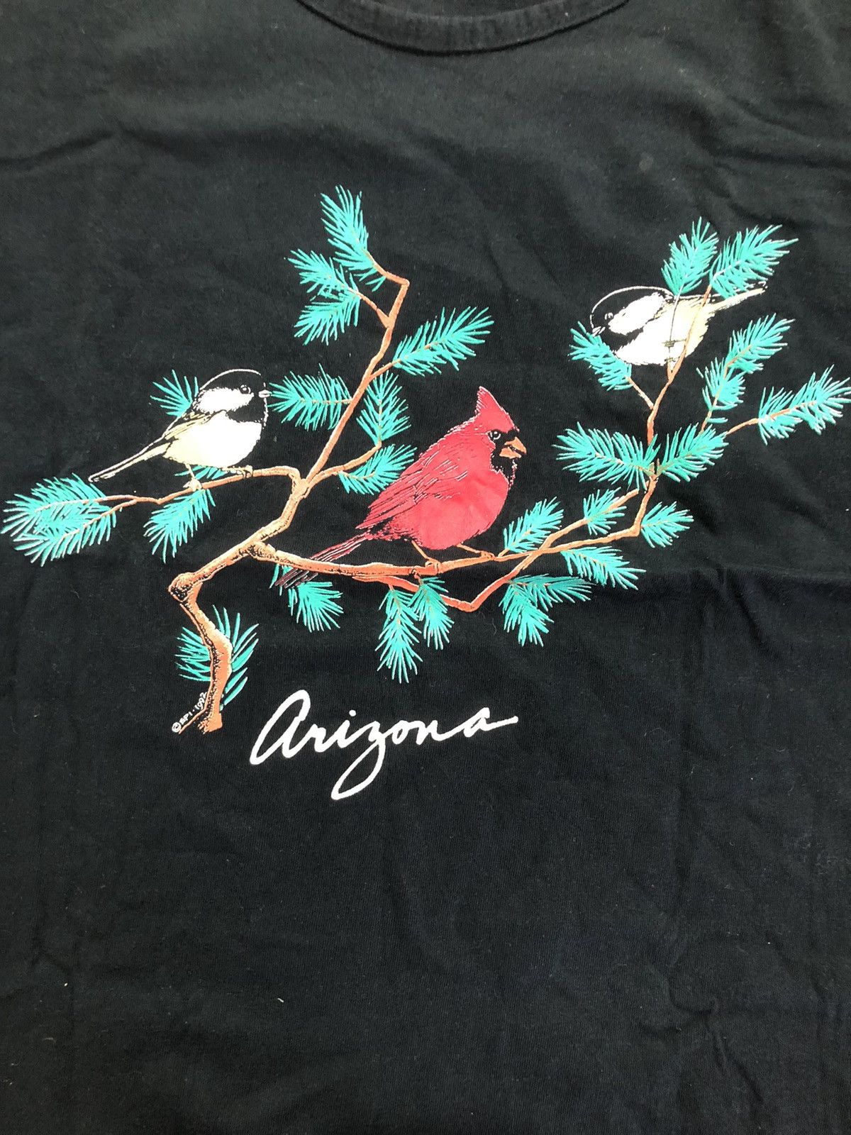 ARIZONA FREEDOM vintage arizona Size US L / EU 52-54 / 3 - 2 Thumbnail